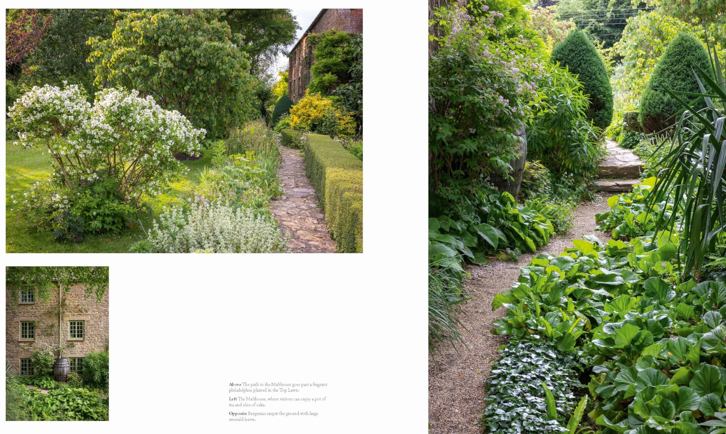 Cottage Gardens: A Stunning Tour of Bucolic British Gardens