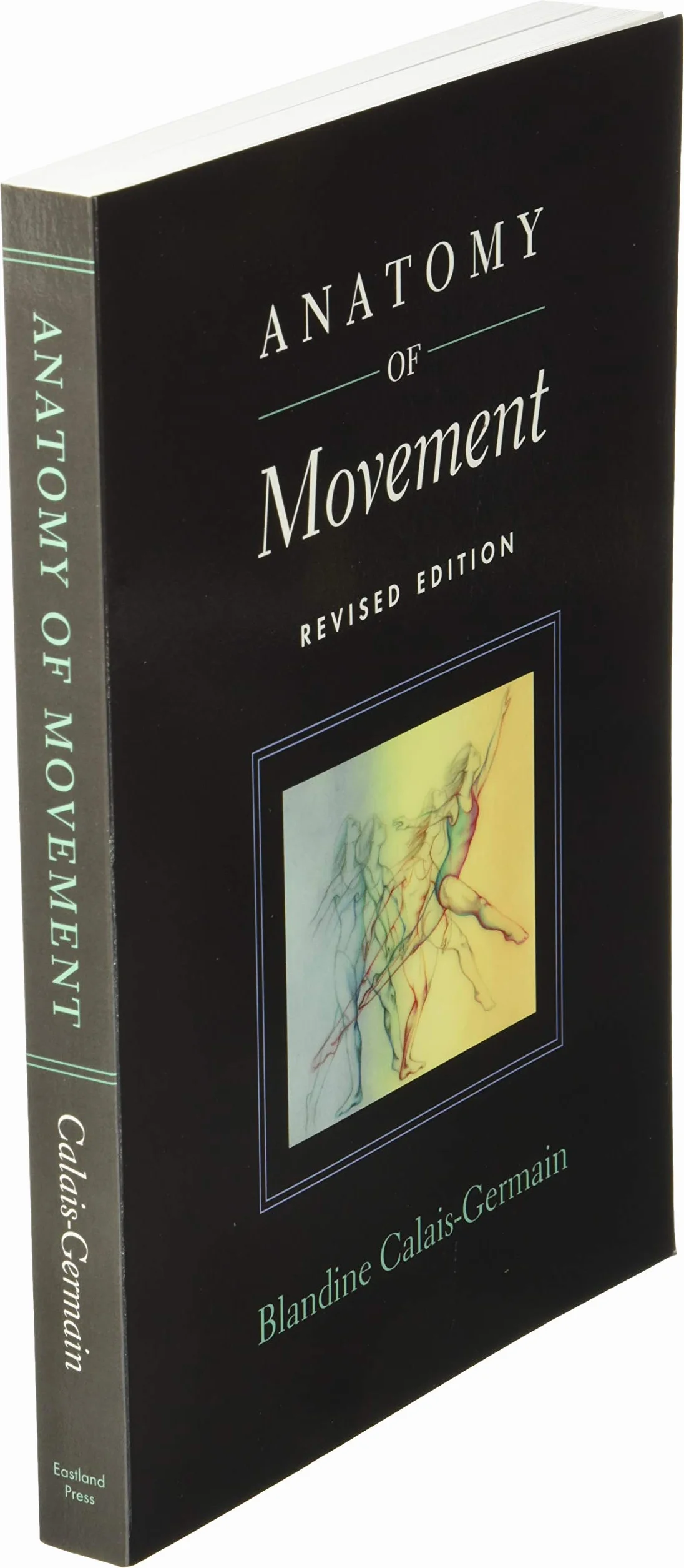 Anatomy of Movement