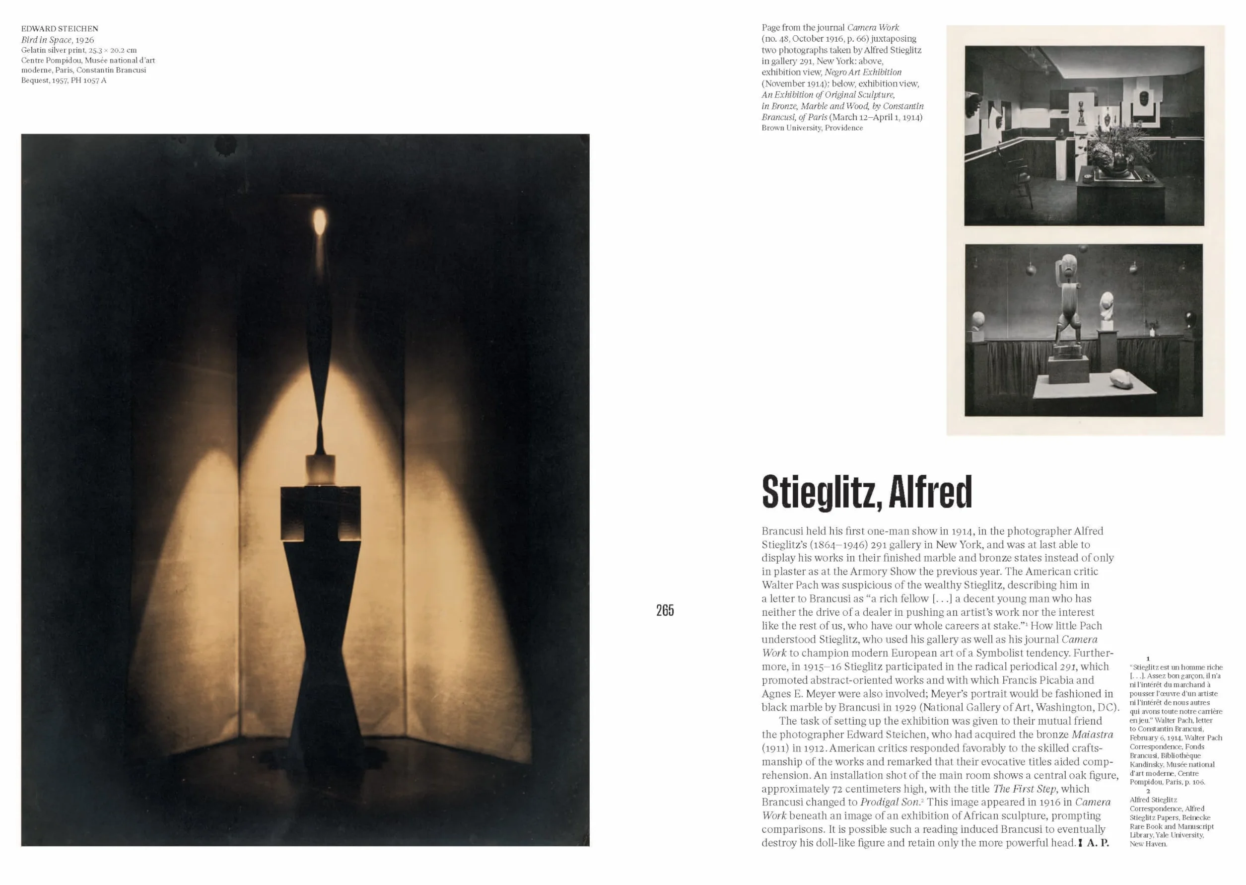 Brancusi /anglais: (Published in conjunction with a major exhibition at the Centre Pompidou in Paris)