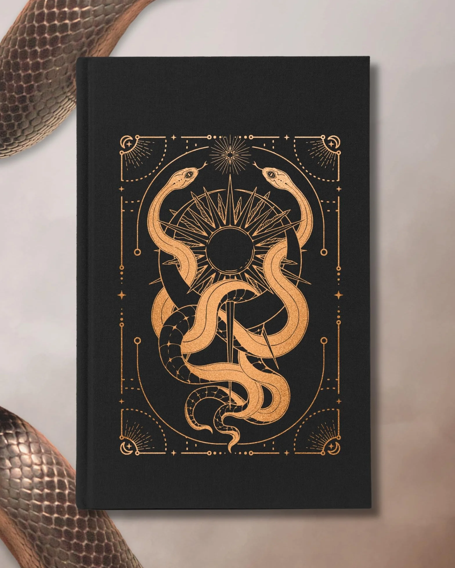 Verity Guild: An Enemies-To-Lovers Romantasy