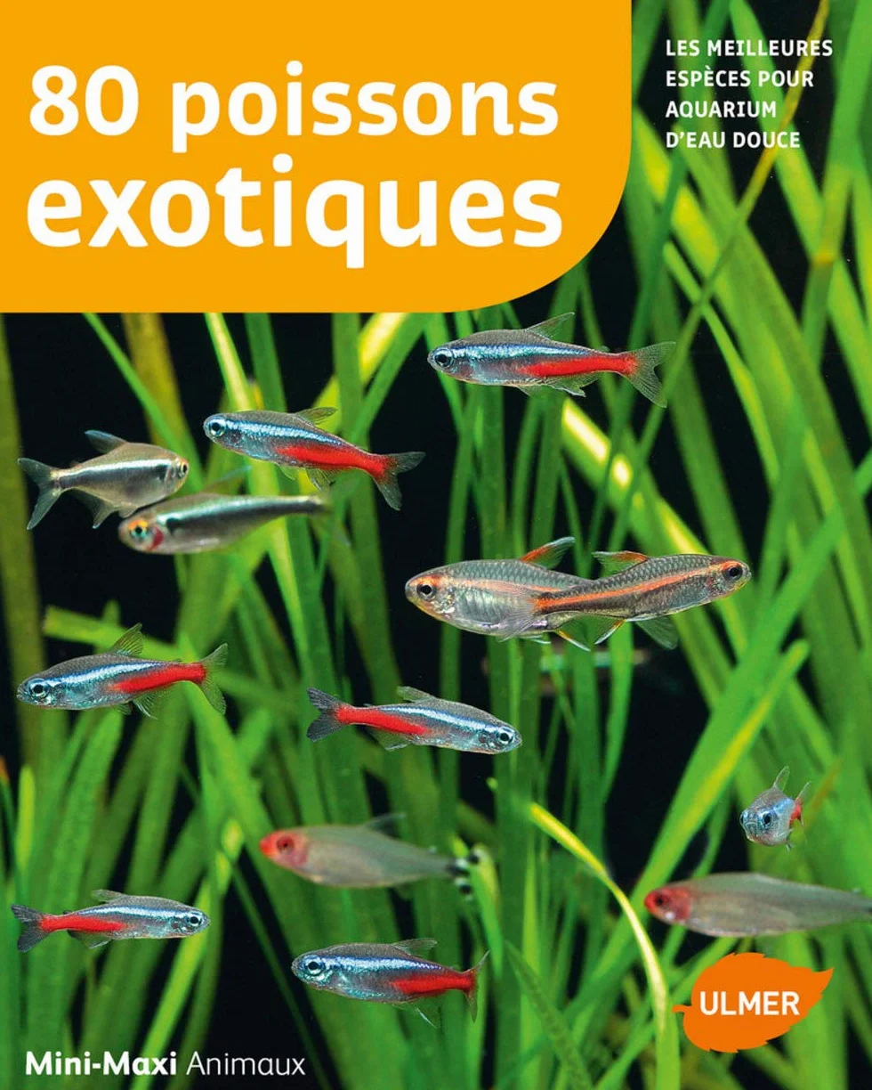 80 poissons exotiques: Les meilleures espèces pour aquarium d'eau douce