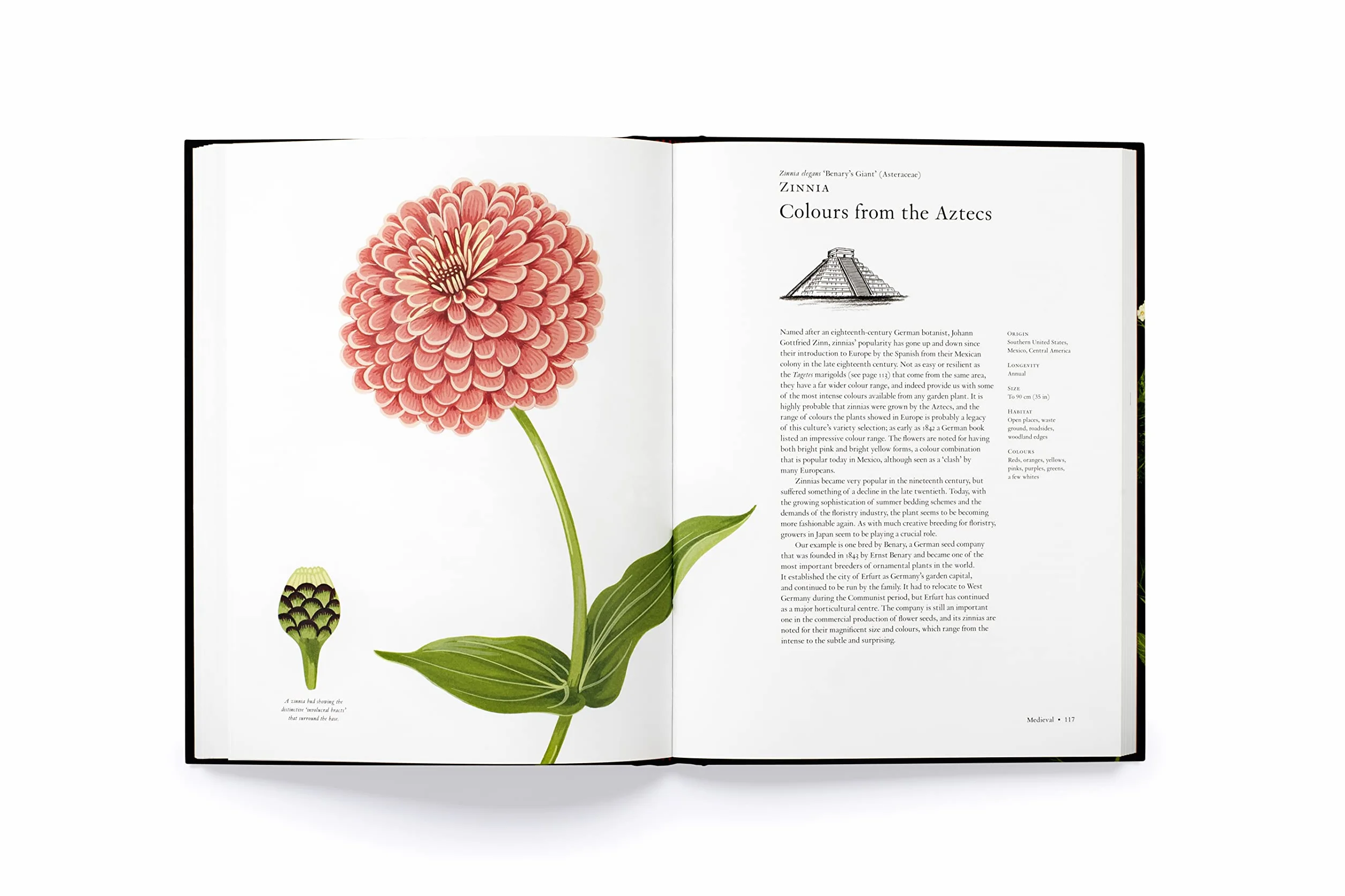 The Story of Flowers /anglais: And How They Changed the Way We Live