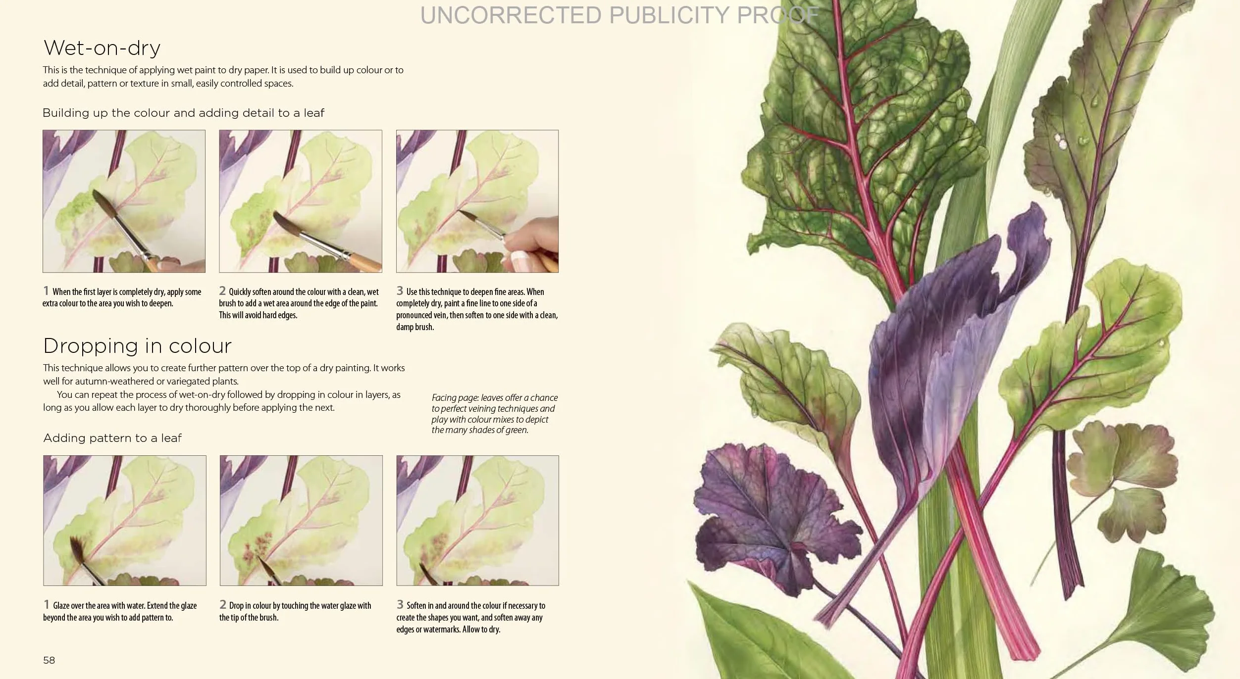 Billy Showell's Botanical Painting in Watercolour
