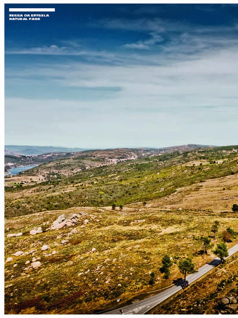 Curves: Portugal: Band 14