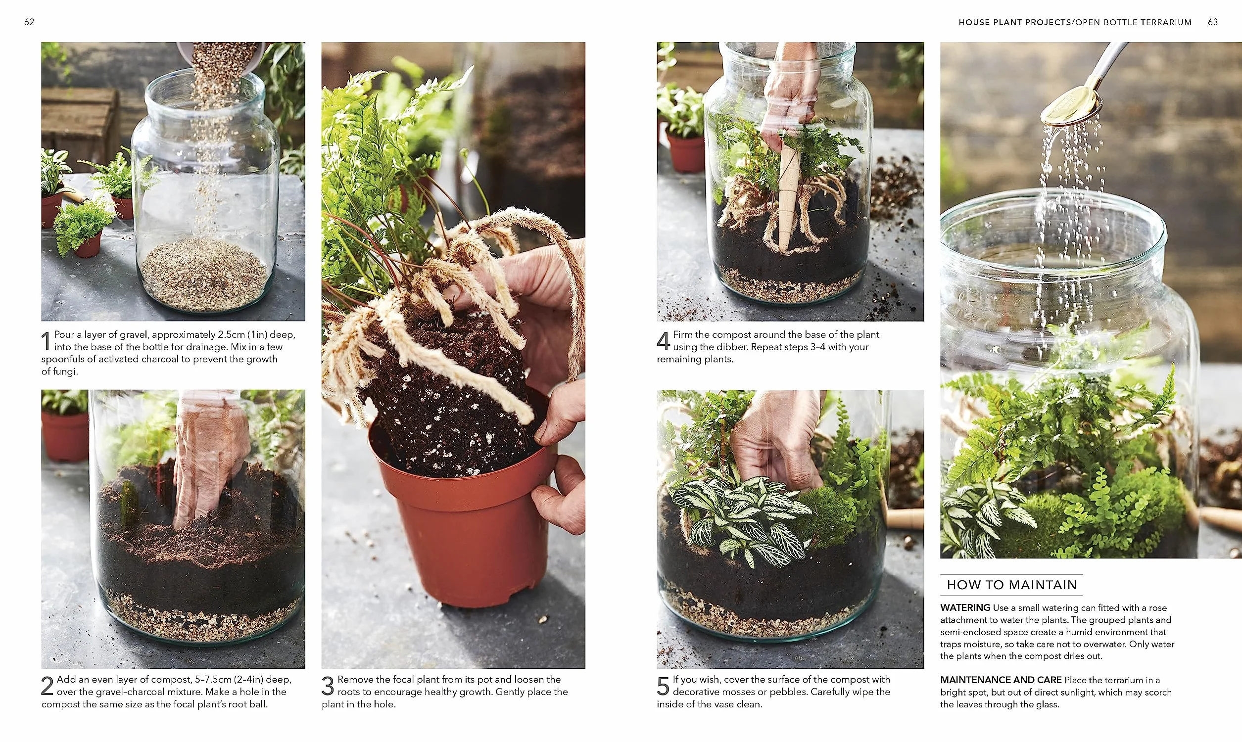 RHS House Plant: Practical Advice for All House Plants, Cacti and Succulents