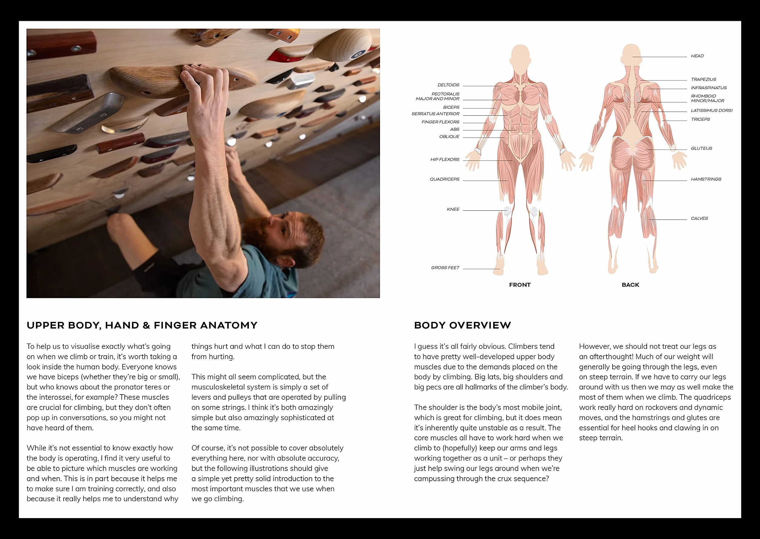 Beastmaking: A Fingers-First Approach to Becoming a Better Climber