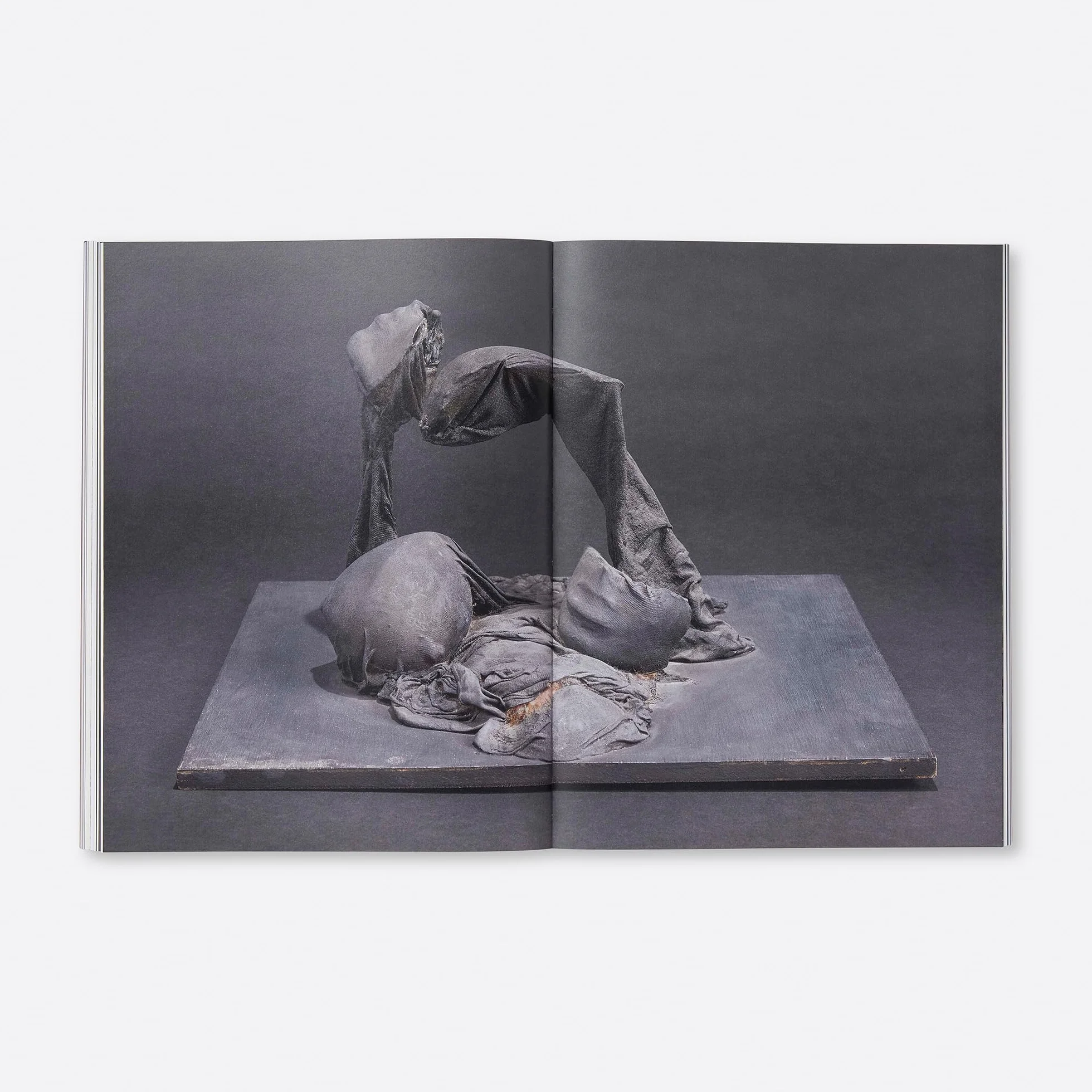 To Exalt the Ephemeral Alina Szapocznikow 1962-1972 /anglais