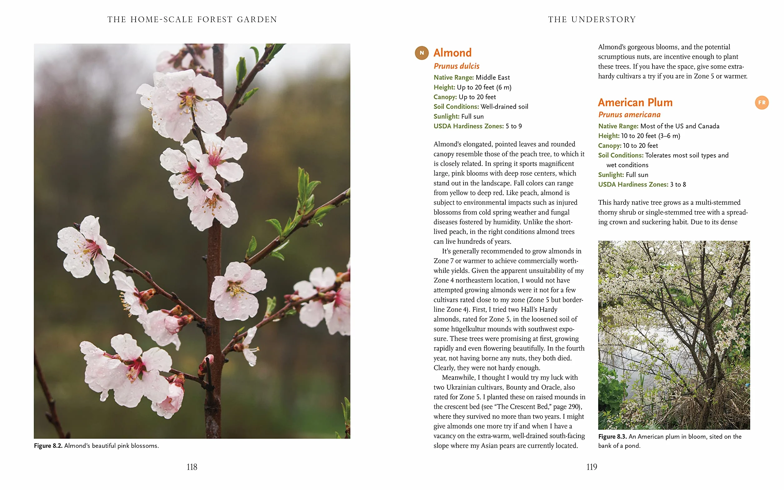 The Home-Scale Forest Garden: How to Plan, Plant, and Tend a Resilient Edible Landscape