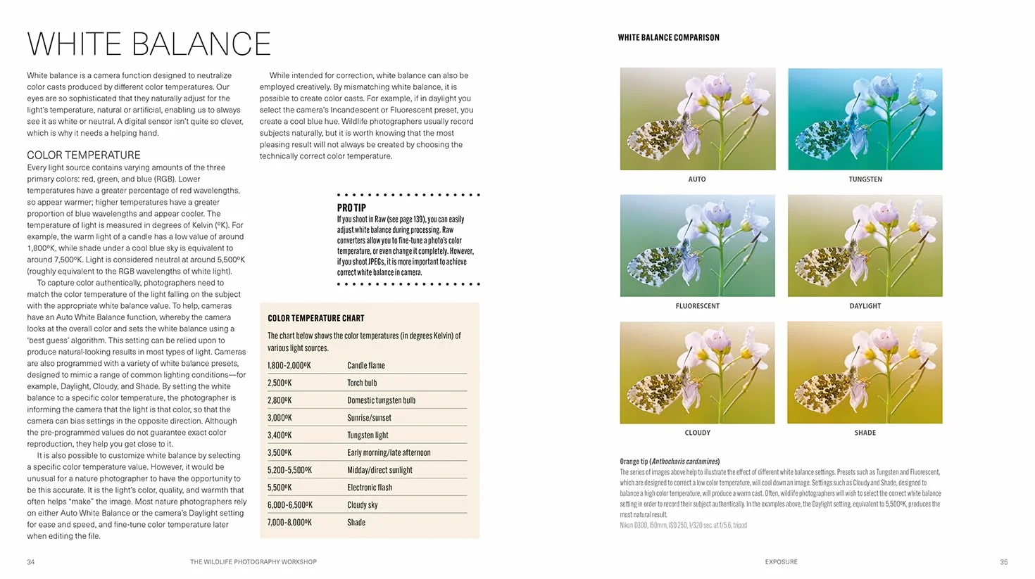 The Wildlife Photography Workshop