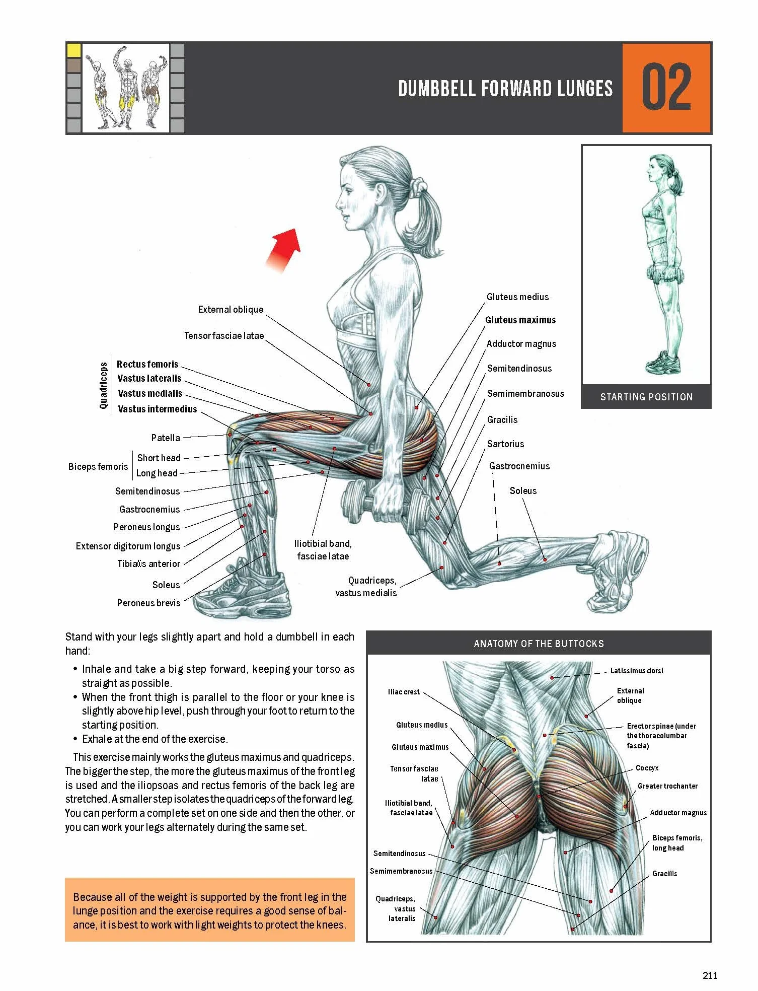 Strength Training Anatomy