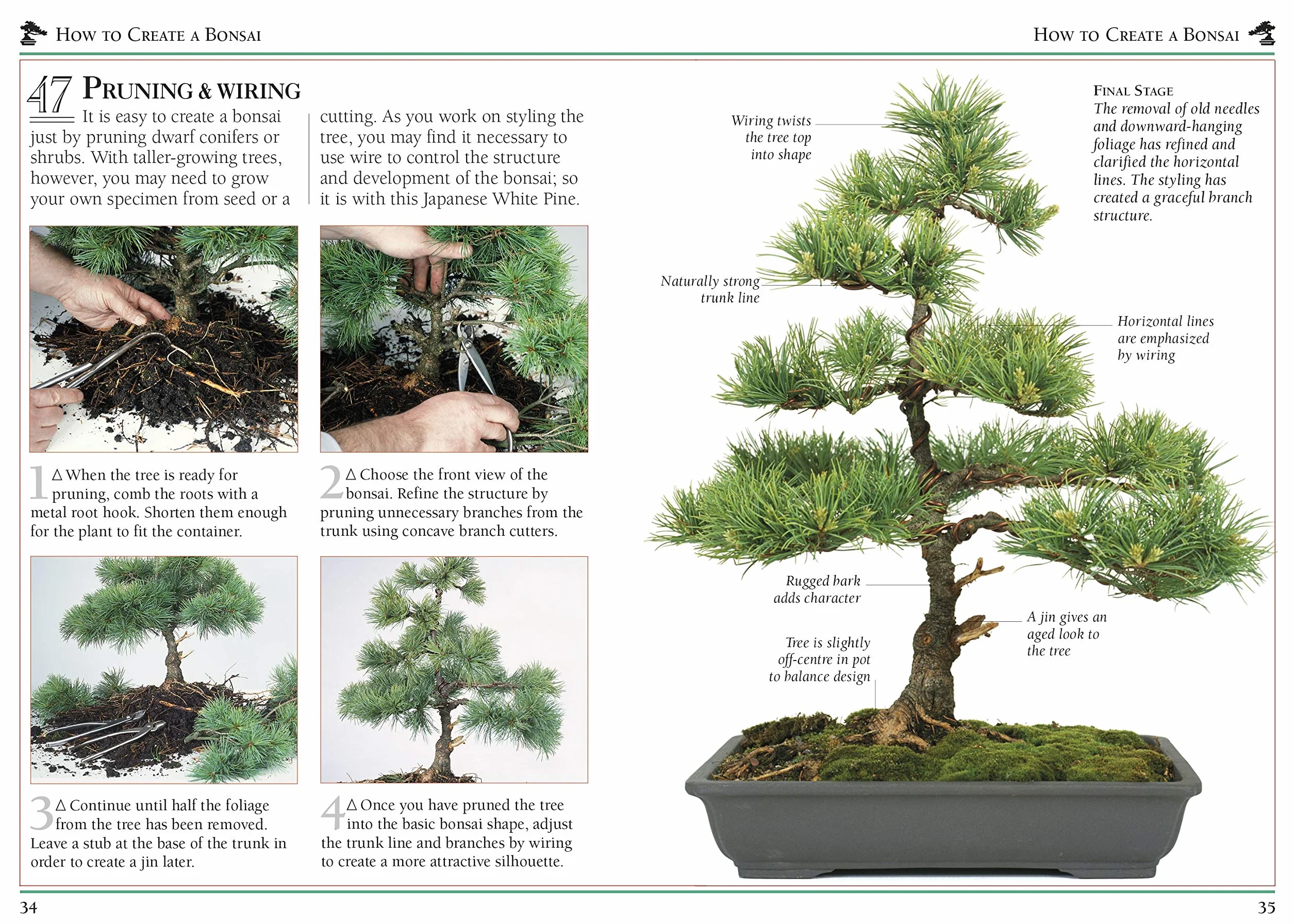 101 Essential Tips Bonsai: Breaks Down the Subject into 101 Easy-to-Grasp Tips