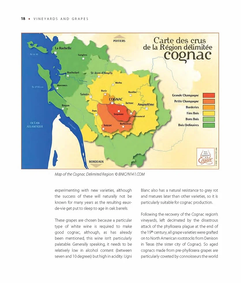 The World of Cognac