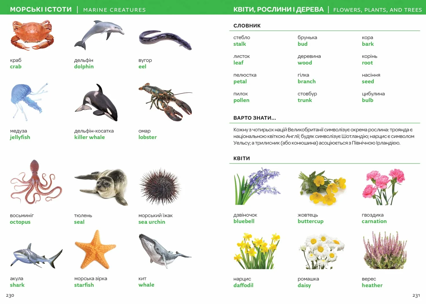 Ukrainian – English Visual Dictionary – Українсько-англійський візуальний словник