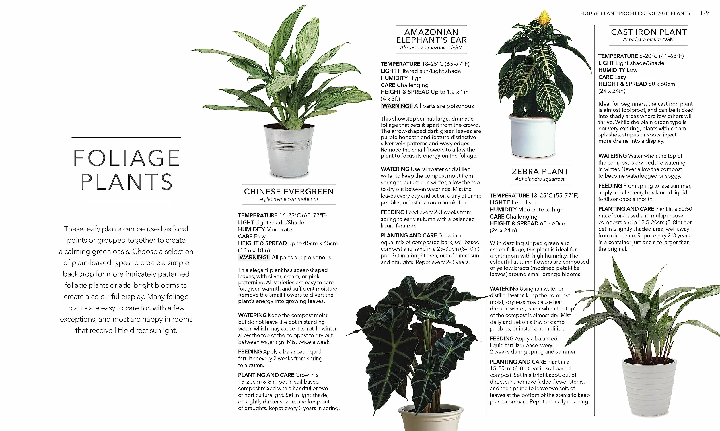 RHS House Plant: Practical Advice for All House Plants, Cacti and Succulents