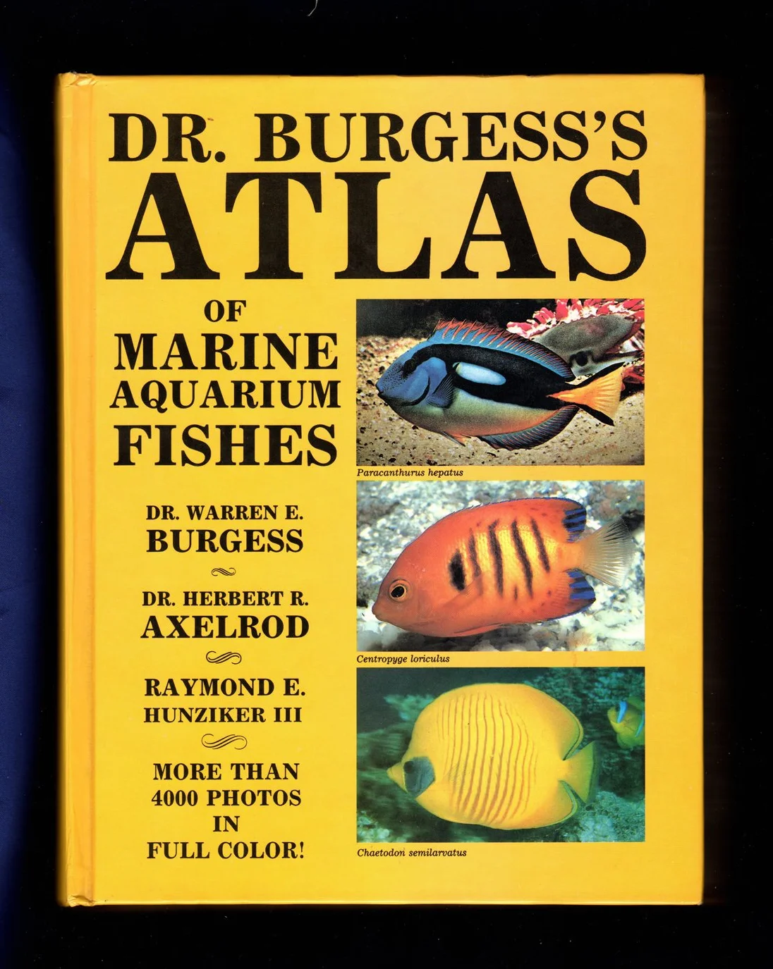 Dr. Burgess's Atlas of Marine Aquarium Fishes