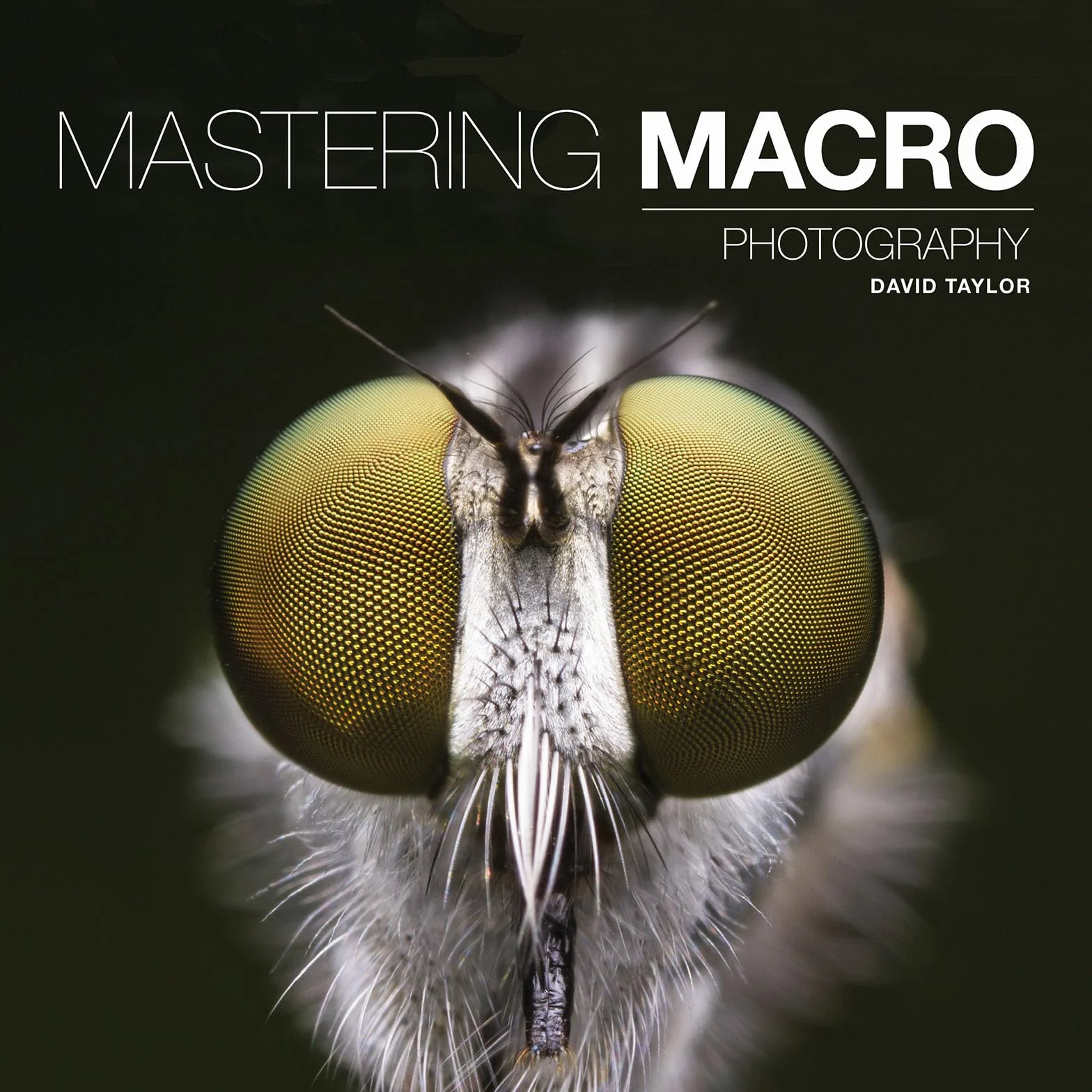 Mastering Macro Photography