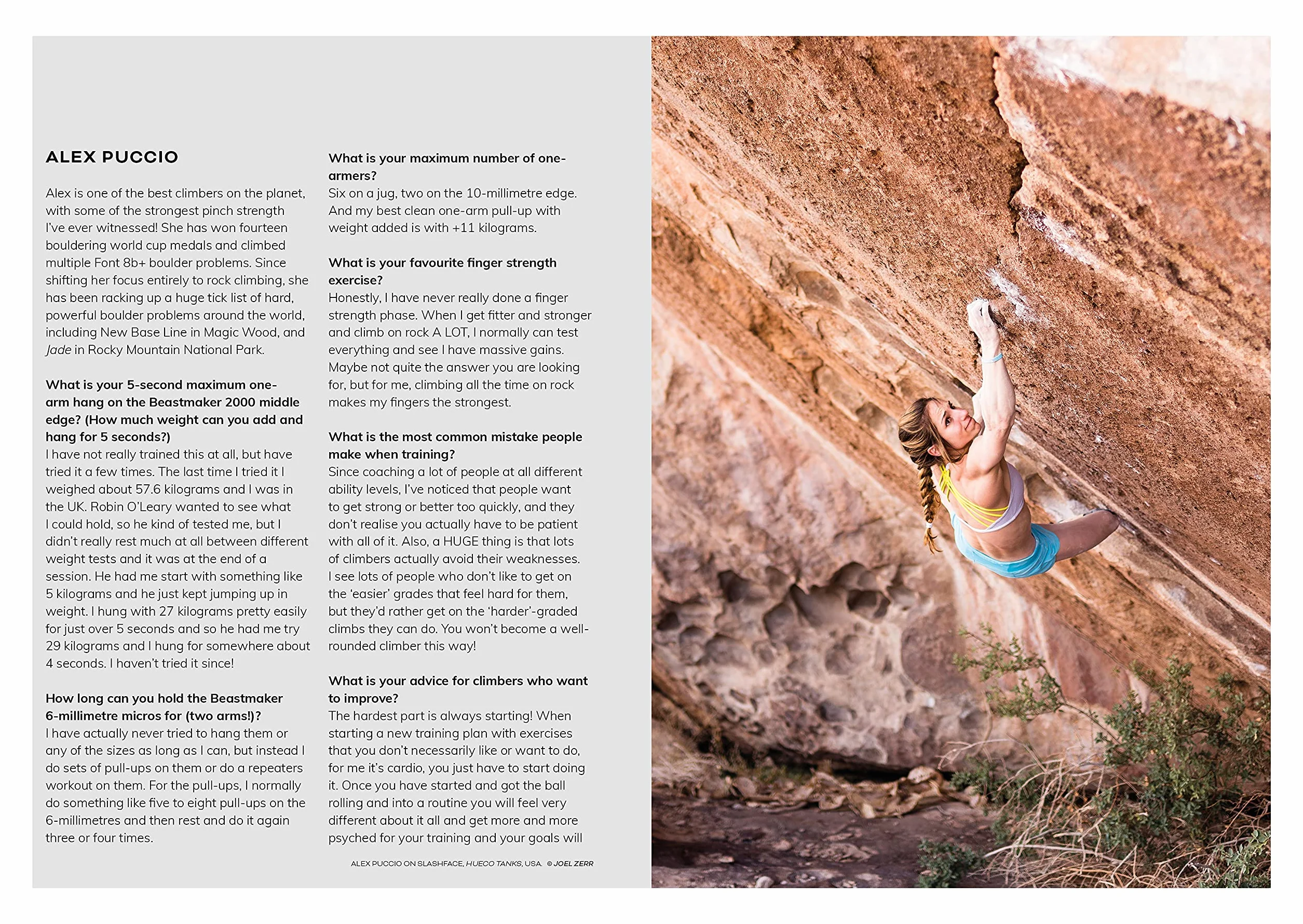 Beastmaking: A Fingers-First Approach to Becoming a Better Climber