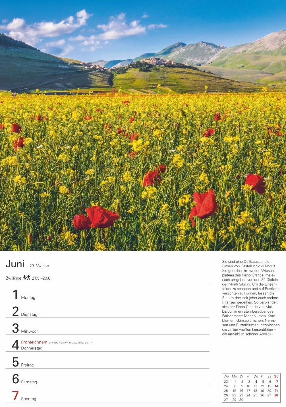 Italien Wochenplaner 2026 - Eine Reise in 53 Bildern: Eine Reise nach Bella Italia in faszinierenden Fotografien. Wandkalender 2026 zum Eintragen im Format 25 x 35,5 cm