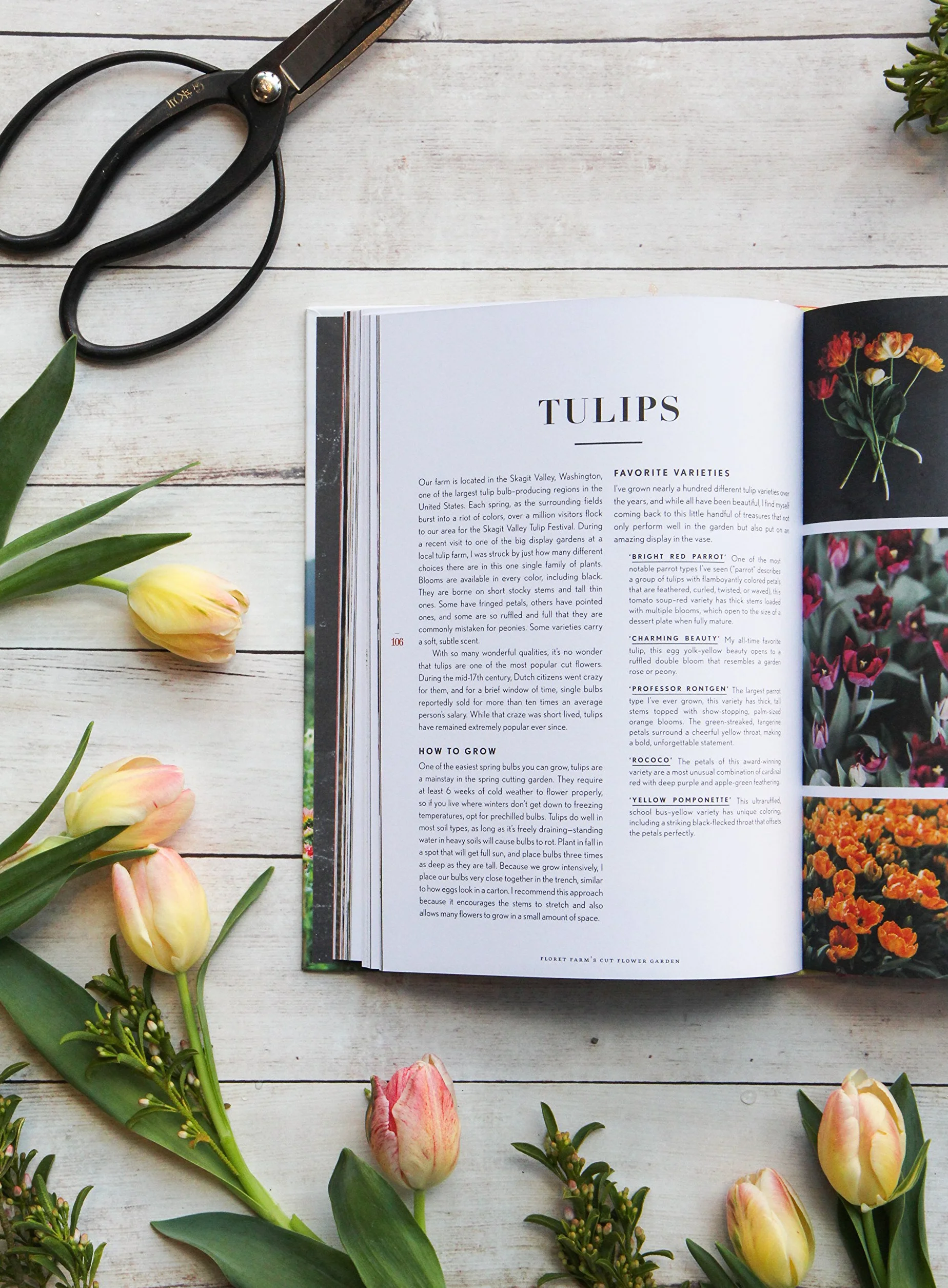 Floret Farm's Cut Flower Garden: Grow, Harvest, and Arrange Stunning Seasonal Blooms