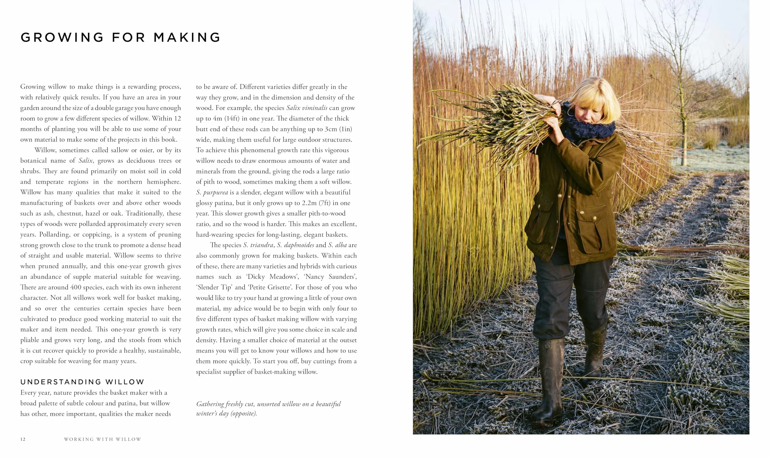 Willow: A Guide to Growing and Harvesting - Plus 20 Beautiful Woven Projects
