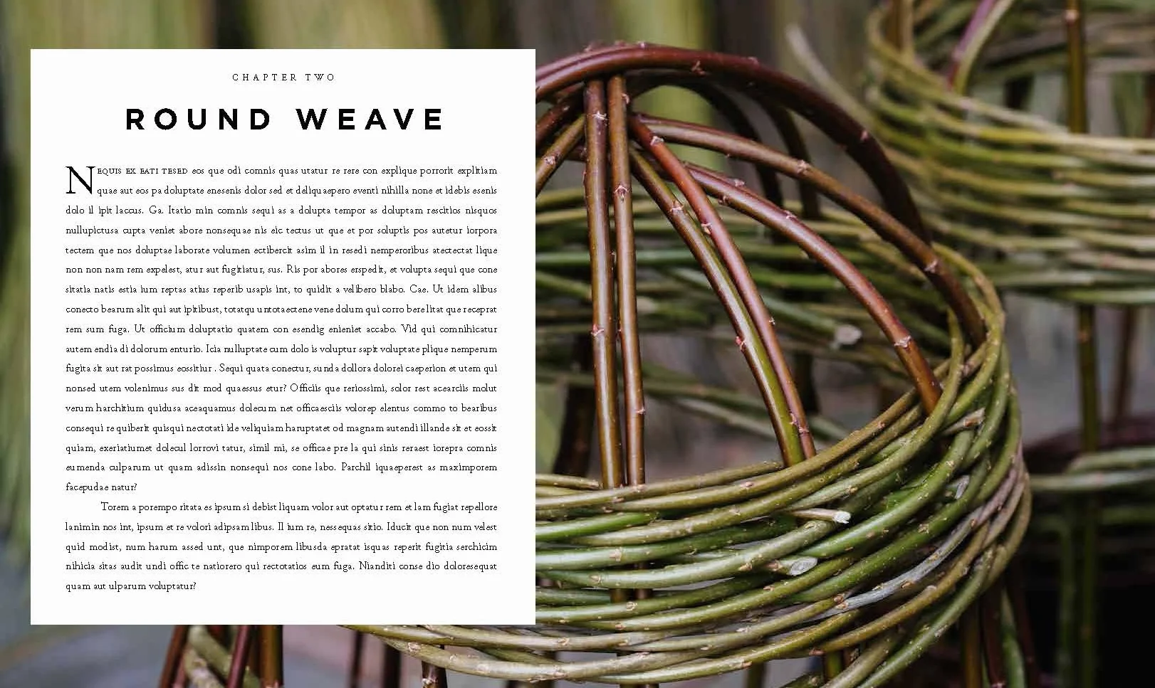 Willow: A Guide to Growing and Harvesting - Plus 20 Beautiful Woven Projects