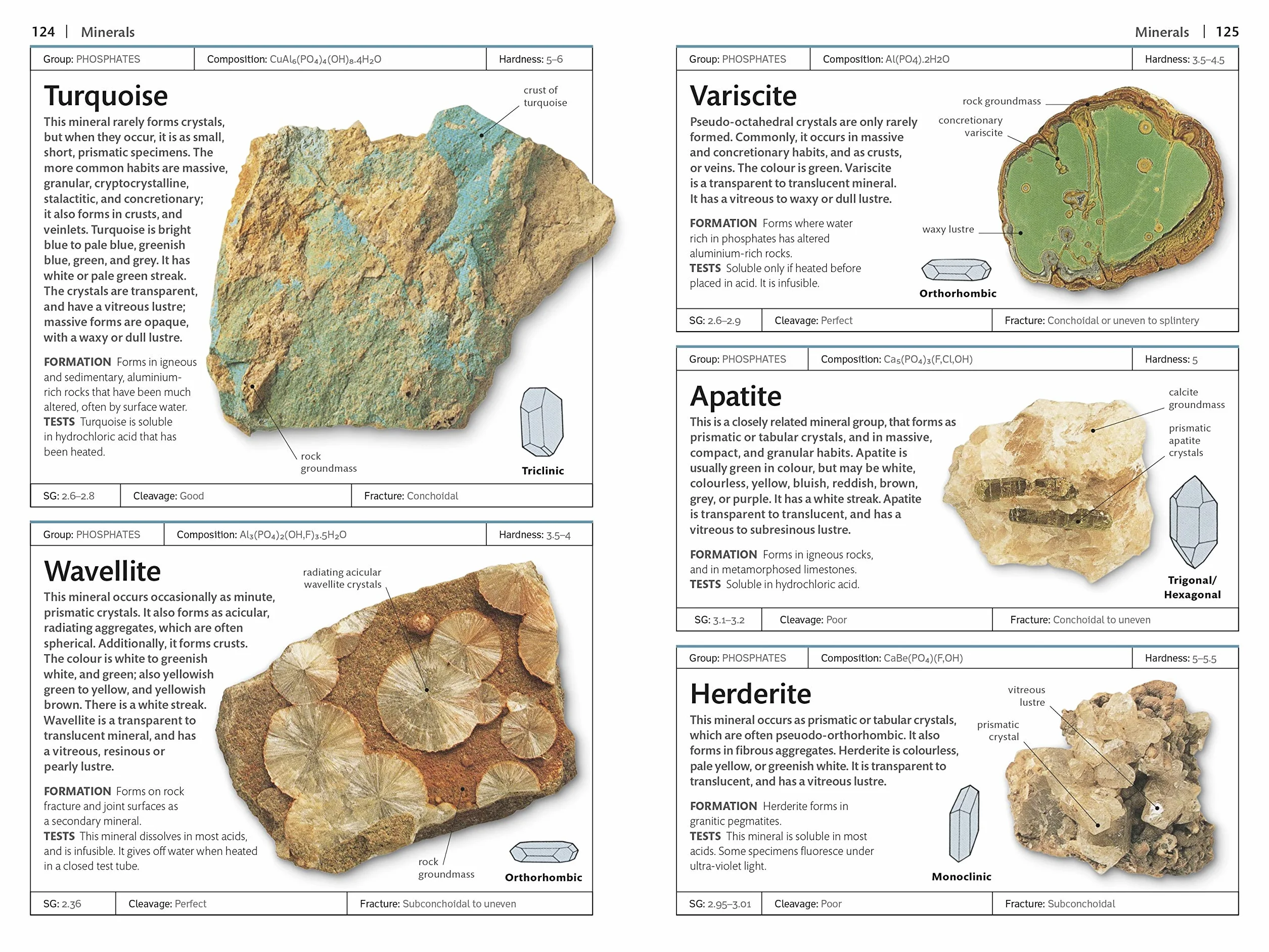 Rocks and Minerals (DK Handbooks)