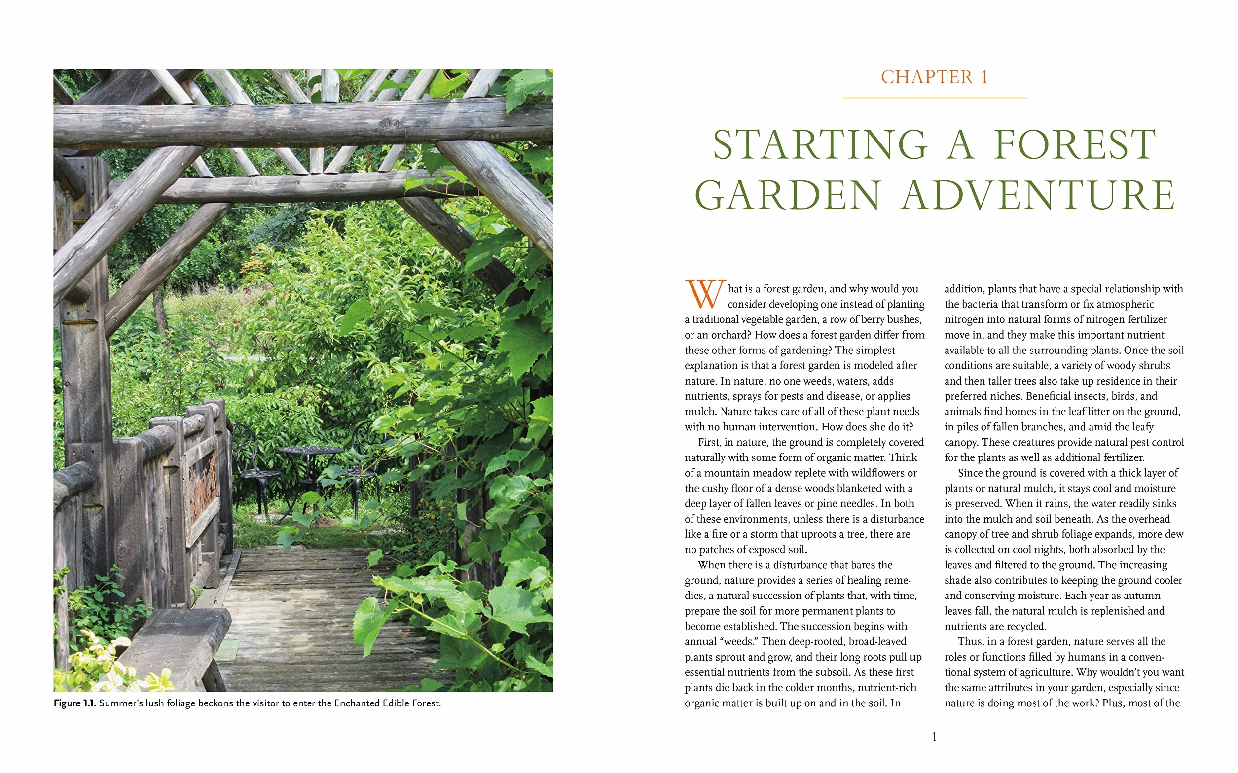 The Home-Scale Forest Garden: How to Plan, Plant, and Tend a Resilient Edible Landscape