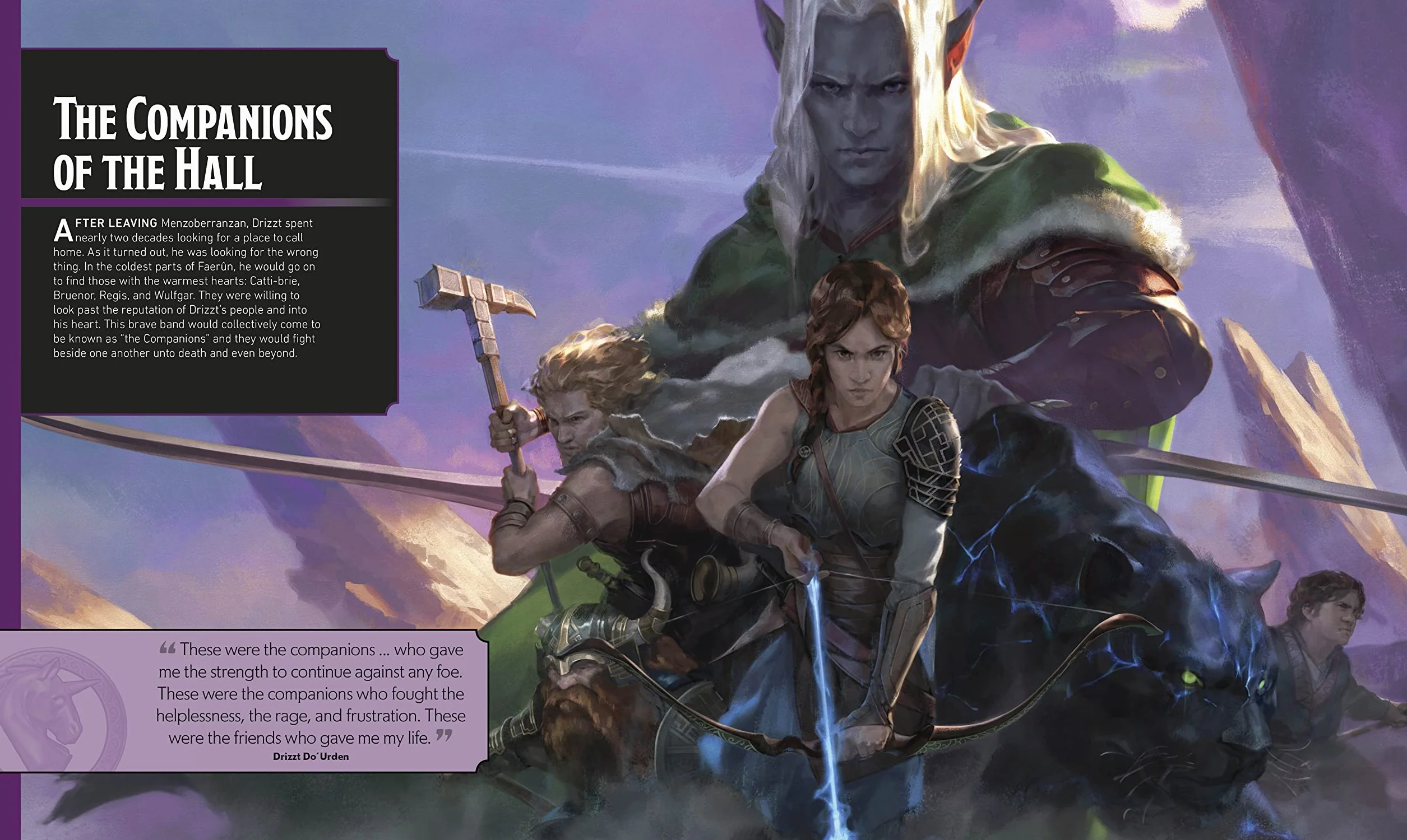 Dungeons & Dragons The Legend of Drizzt Visual Dictionary