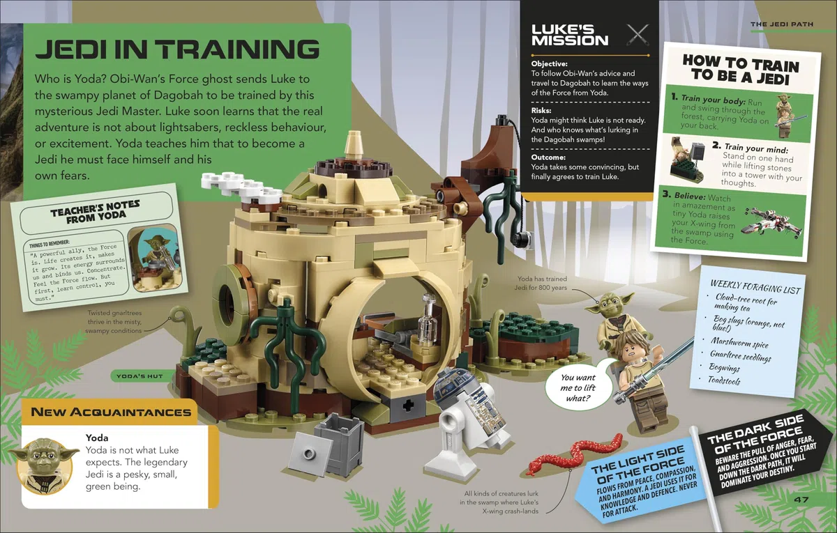 LEGO Star Wars Luke Skywalker's Galactic Adventures: Subtitle: With Luke Skywalker Minifigure