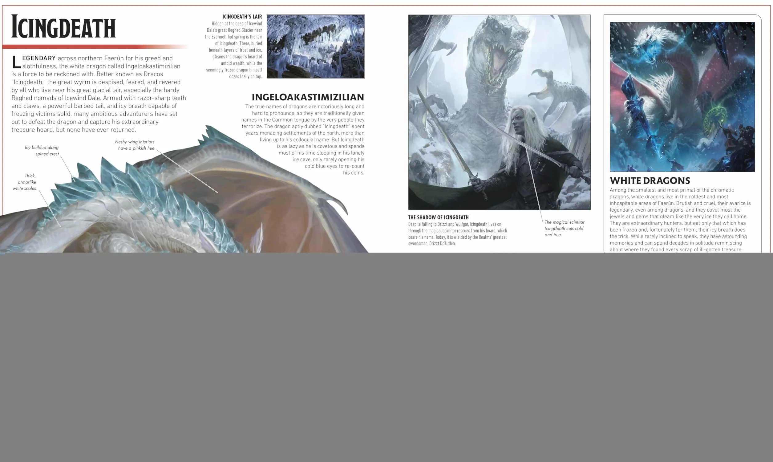 Dungeons & Dragons The Legend of Drizzt Visual Dictionary
