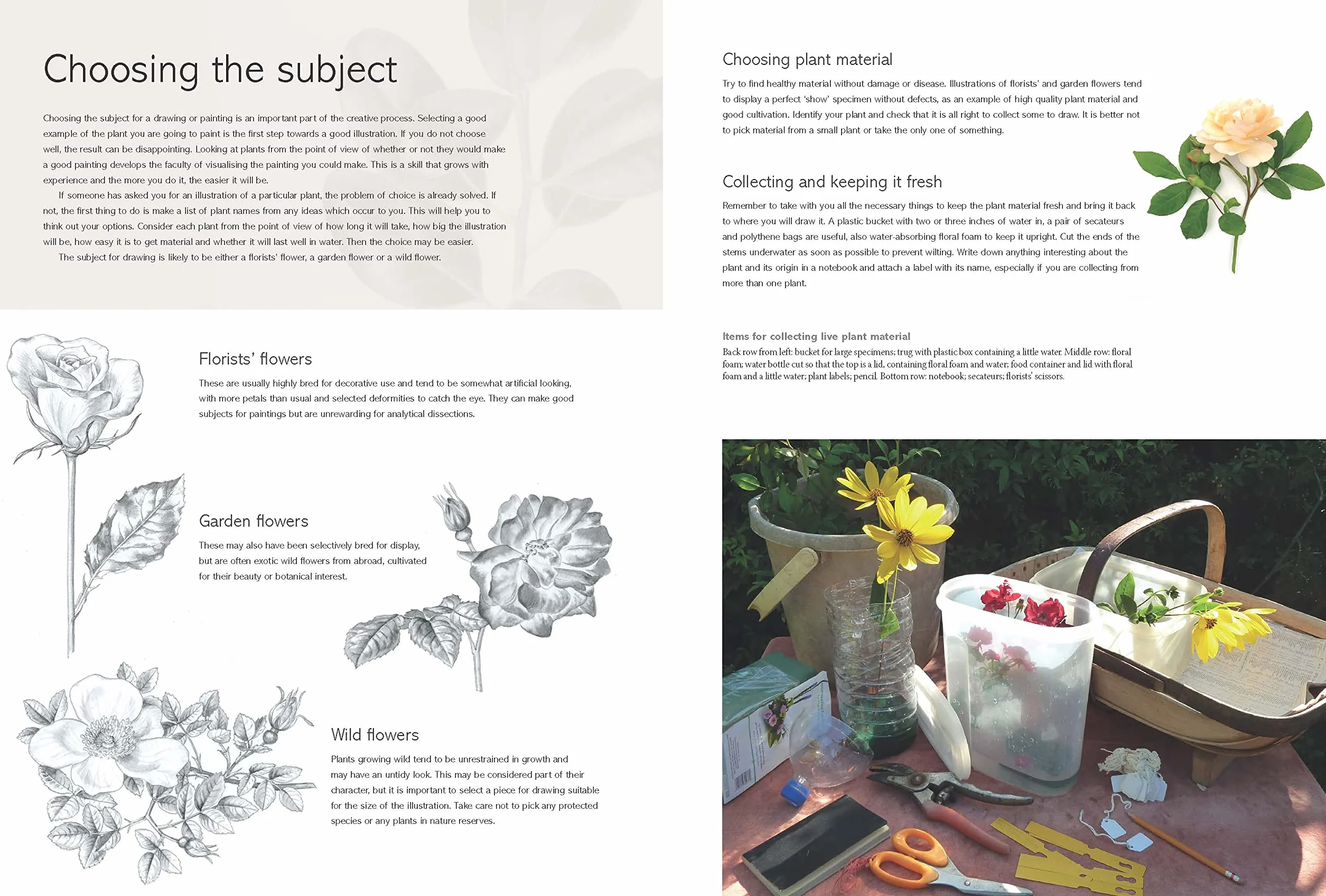 Kew Book of Botanical Illustration