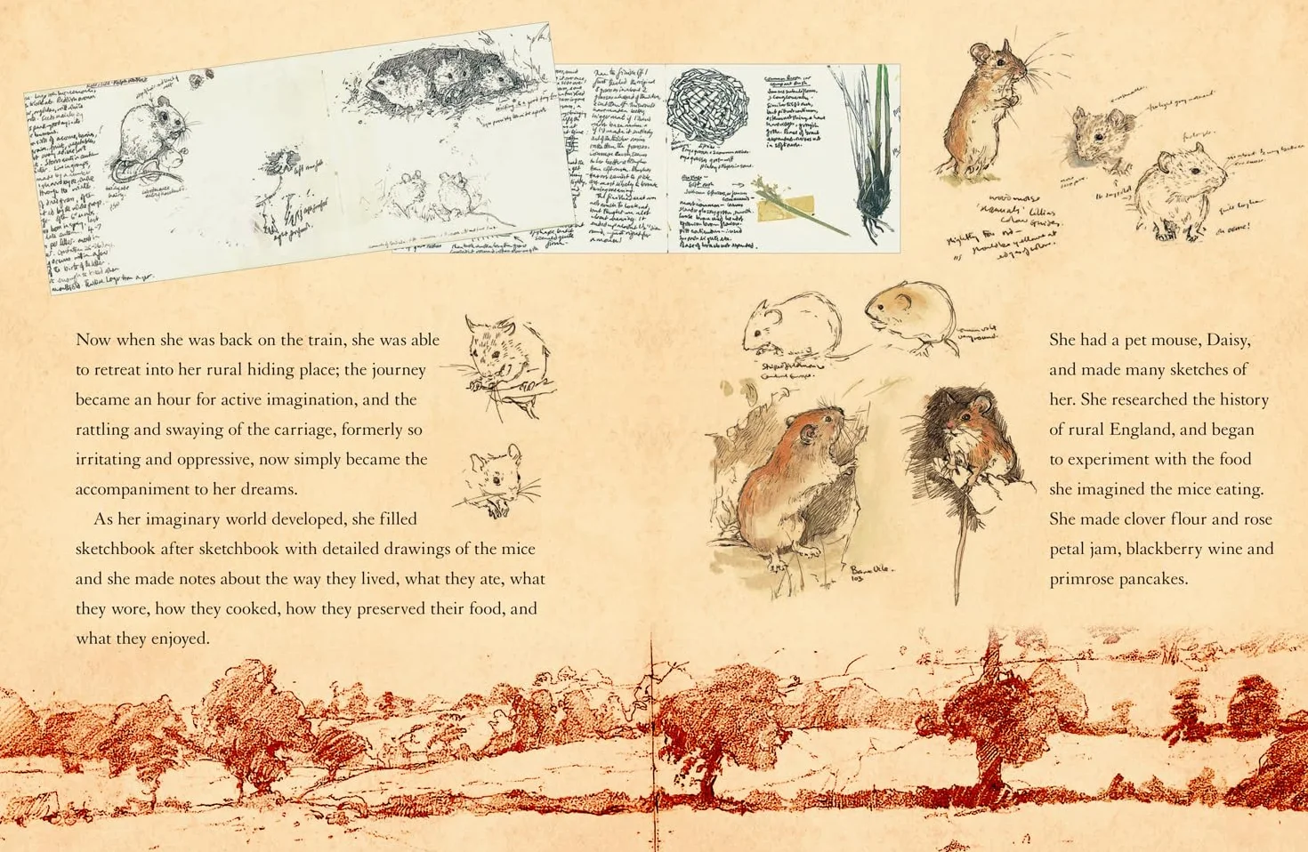 A Visit to Brambly Hedge: An illustrated companion to the world of Brambly Hedge, perfect for collectors and fans of Jill Barklem!