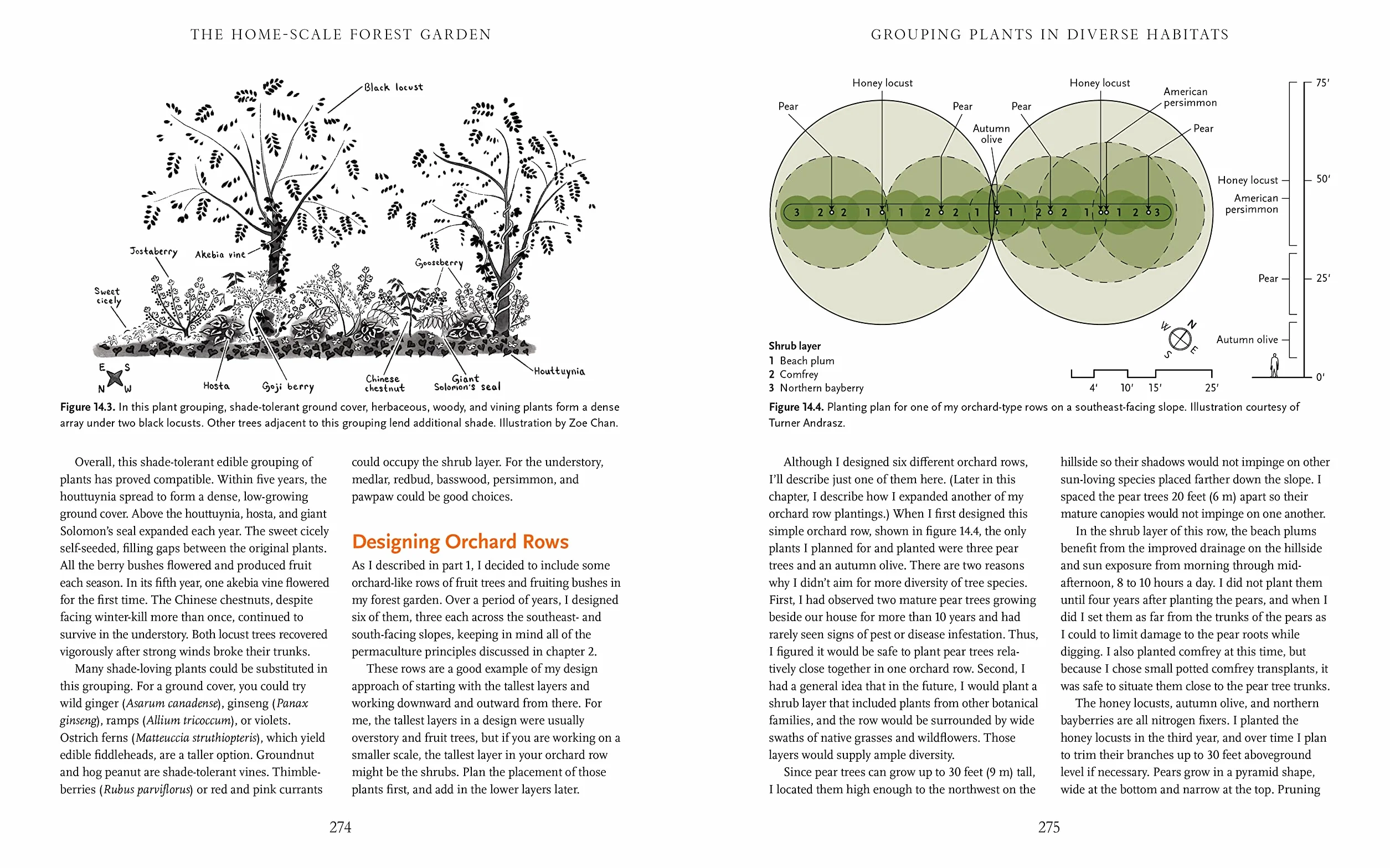 The Home-Scale Forest Garden: How to Plan, Plant, and Tend a Resilient Edible Landscape