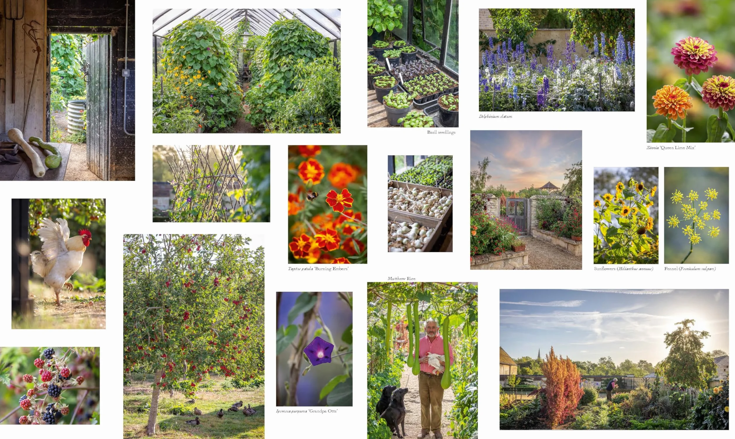 Cottage Gardens: A Stunning Tour of Bucolic British Gardens