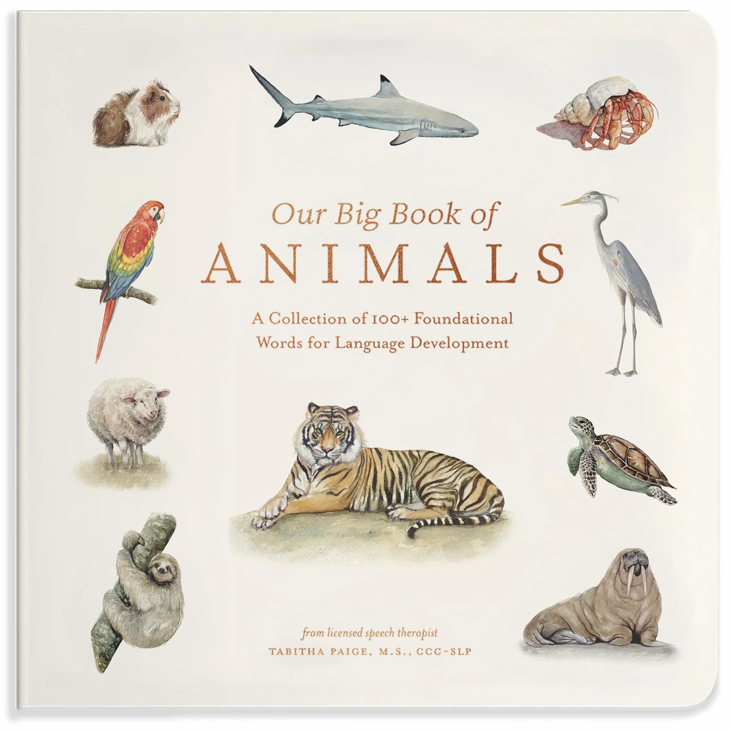 Our Big Book of Animals: A Foundational Language Vocabulary Board Book for Little Animal Lovers: 17