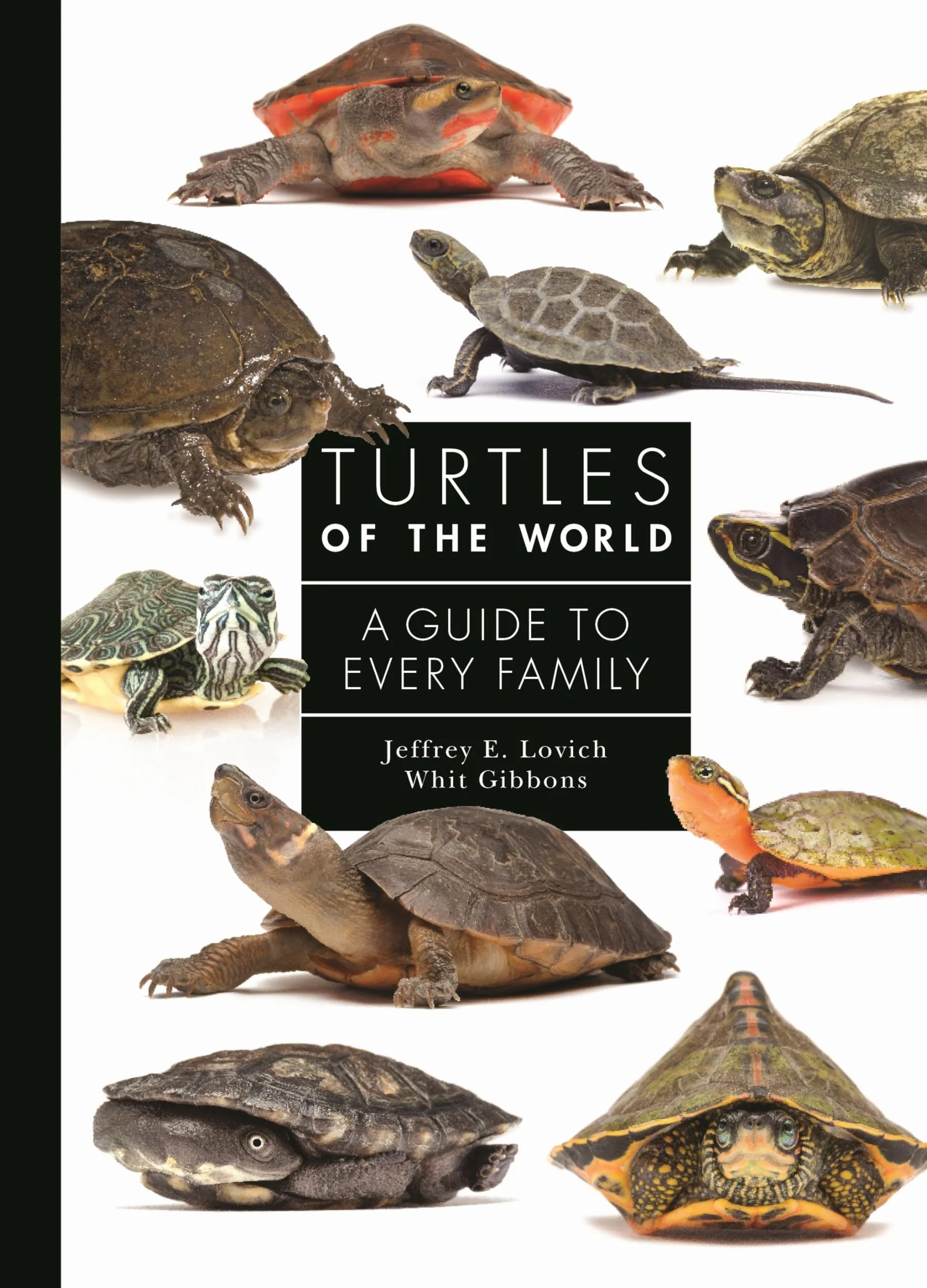 Turtles of the World: A Guide to Every Family: 3