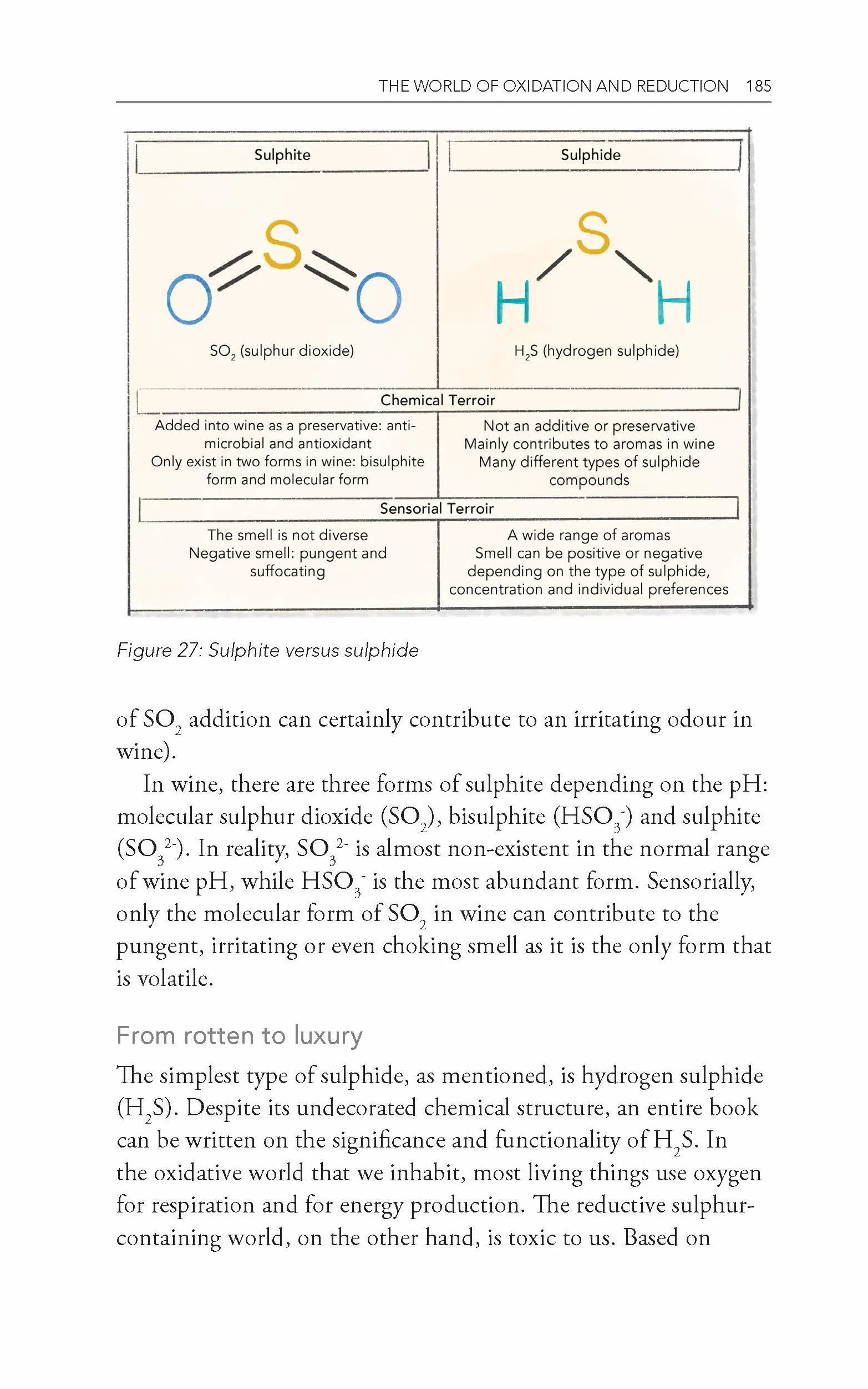 Behind the Glass: The Chemical and Sensorial Terroir of Wine Tasting