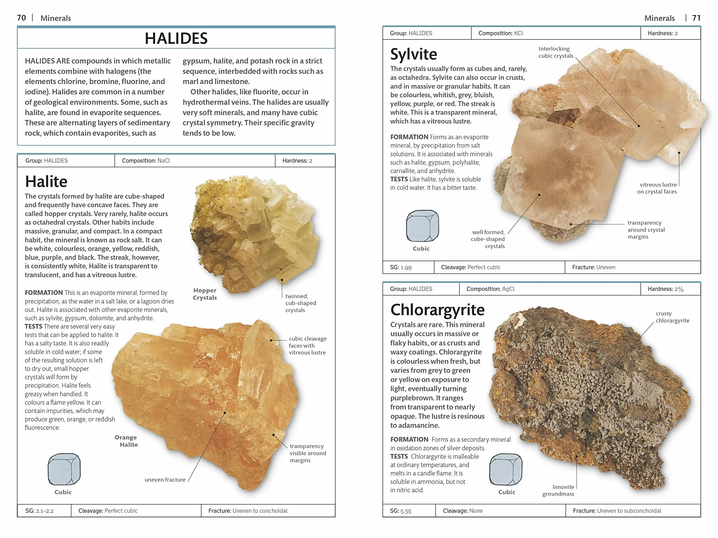 Rocks and Minerals (DK Handbooks)