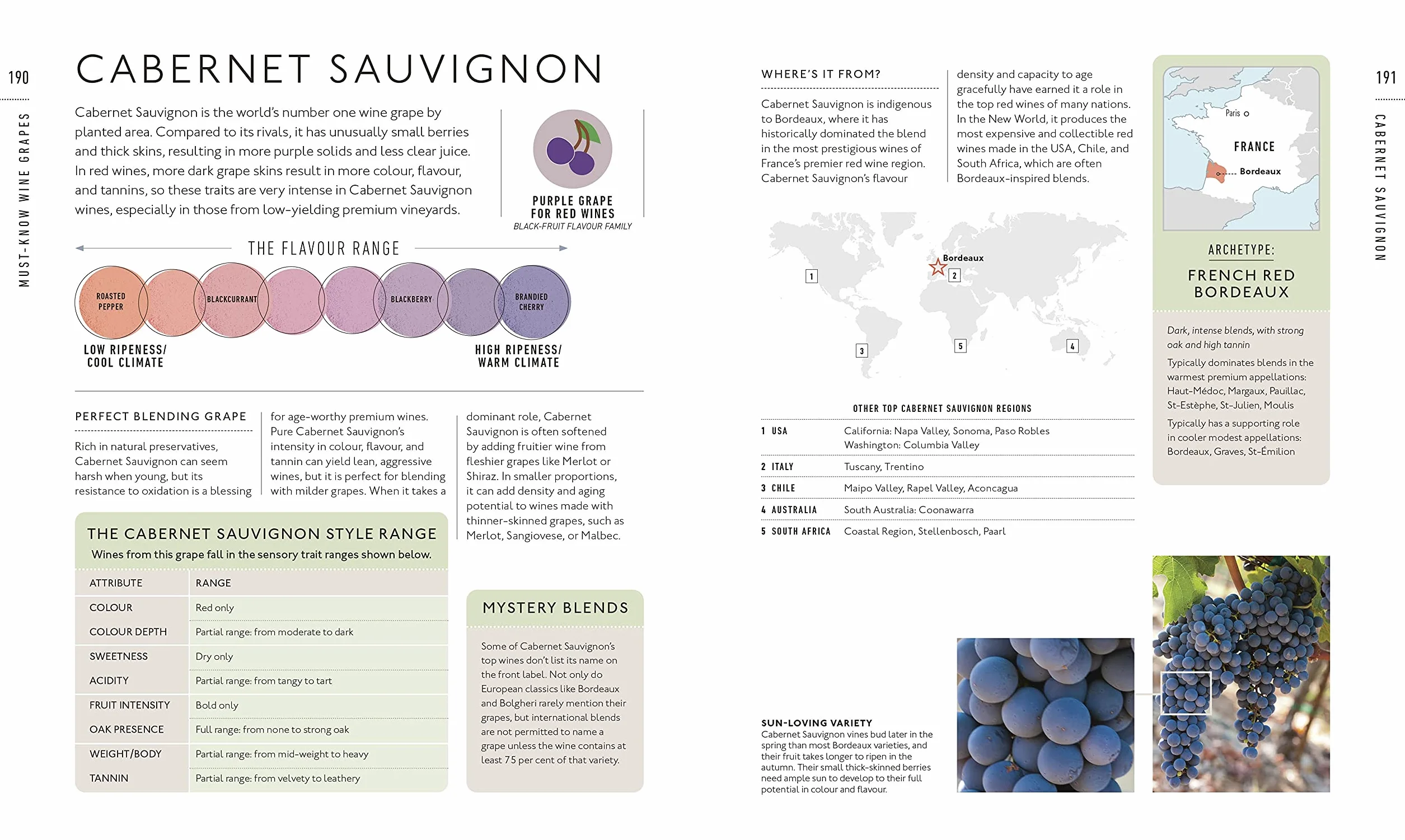 Wine A Tasting Course: From Grape to Glass
