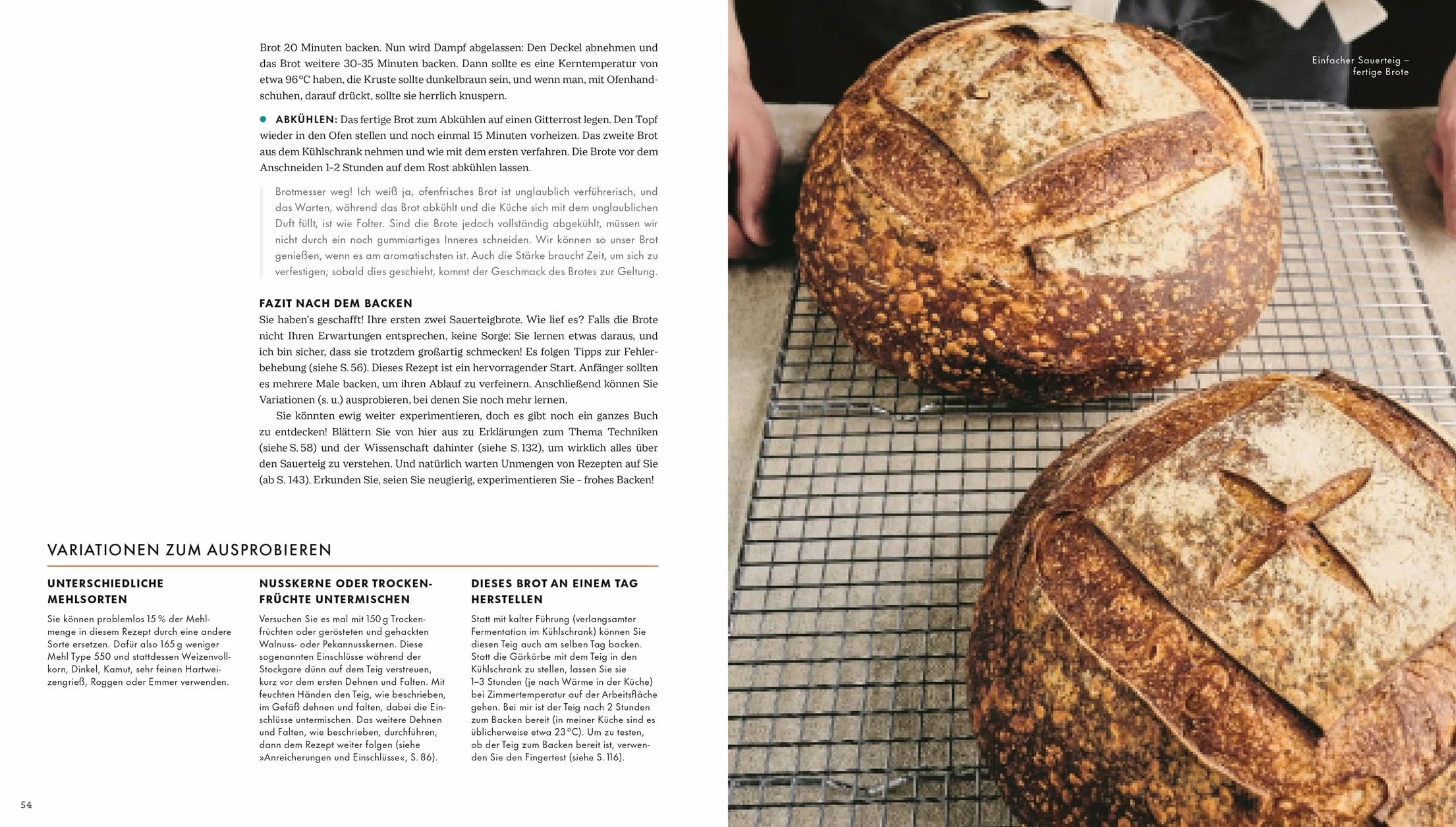 Das große Buch vom Sauerteig: Über 100 Rezepte und Anleitungen für Brote, Gebäck und Süßes. Mit Video-Tutorials zu Teigen und Techniken. Pizza, Brot, Bagels, Zimtschnecken u. v. m.