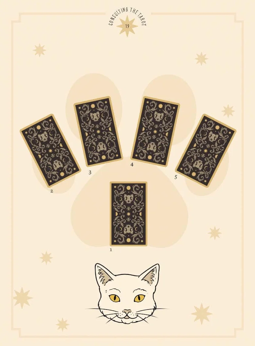 Cats Rule the Earth Tarot: 78-Card Deck and Guidebook for the Feline-Obsessed