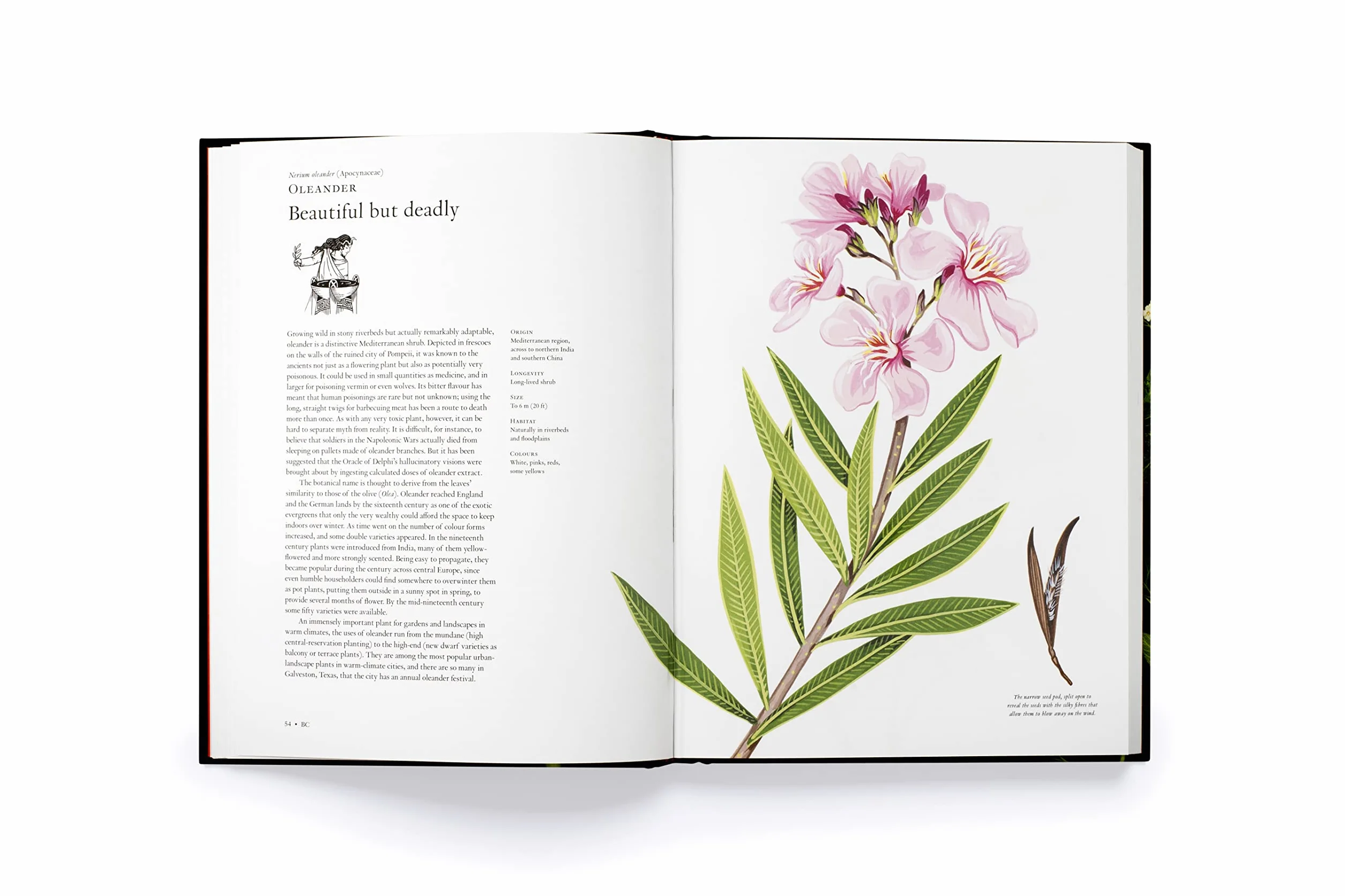 The Story of Flowers /anglais: And How They Changed the Way We Live