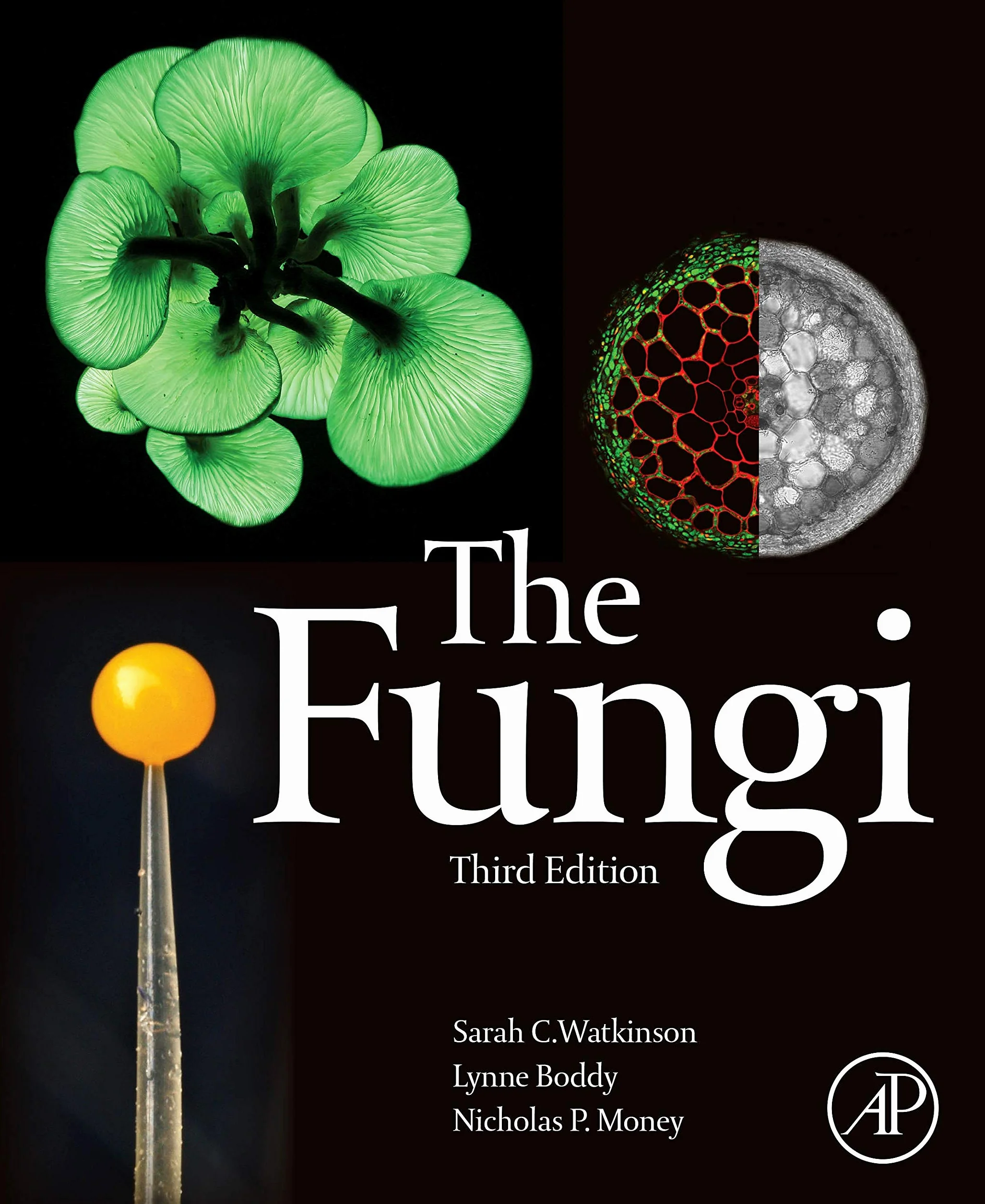 The Fungi