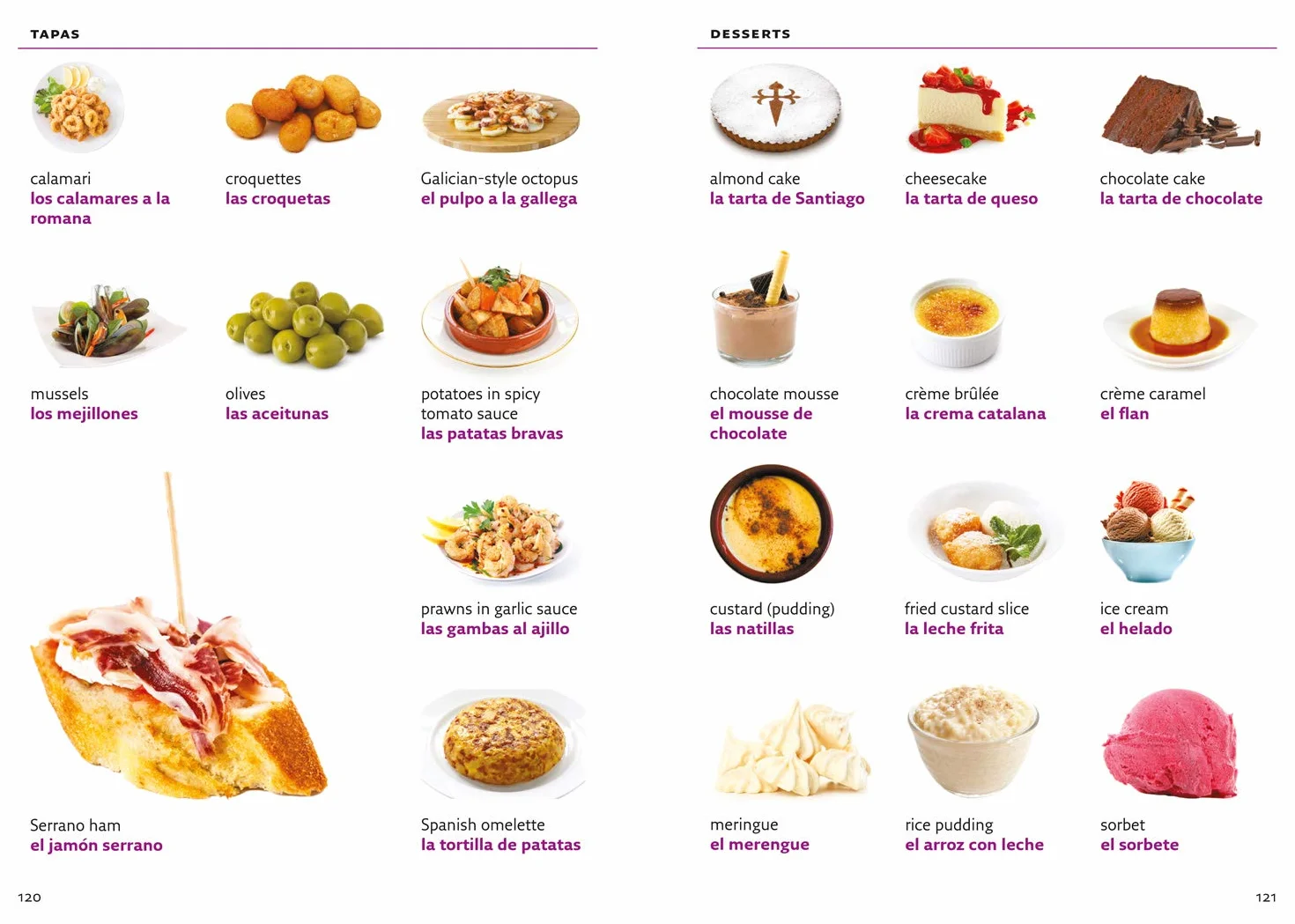 Spanish Visual Dictionary: A photo guide to everyday words and phrases in Spanish