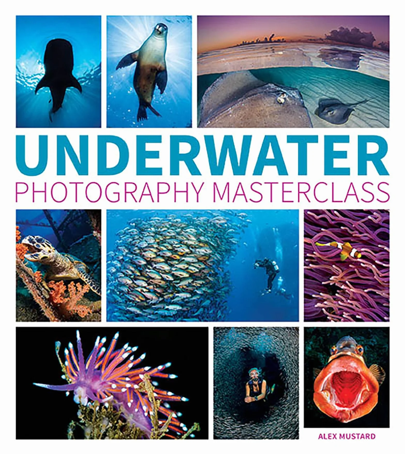 Underwater Photography Masterclass