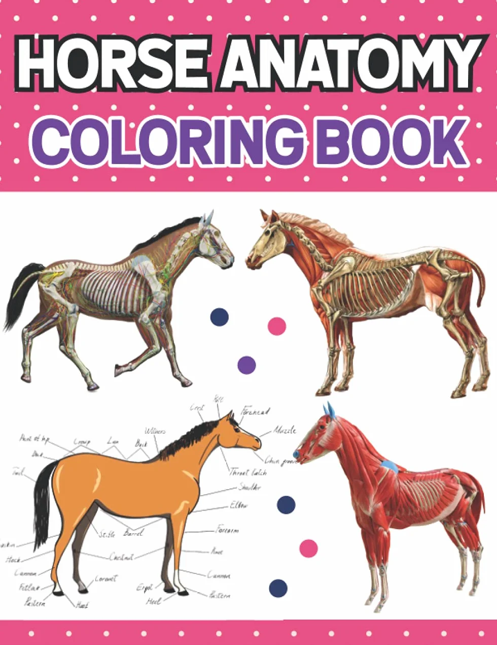 Horse Anatomy Coloring Book: Horse Anatomy Student's Self-Test Coloring & Activity Book. Animals Physiology Self-Quiz Color Workbook for Studying and ... & Even Adults. Vet tech coloring books.