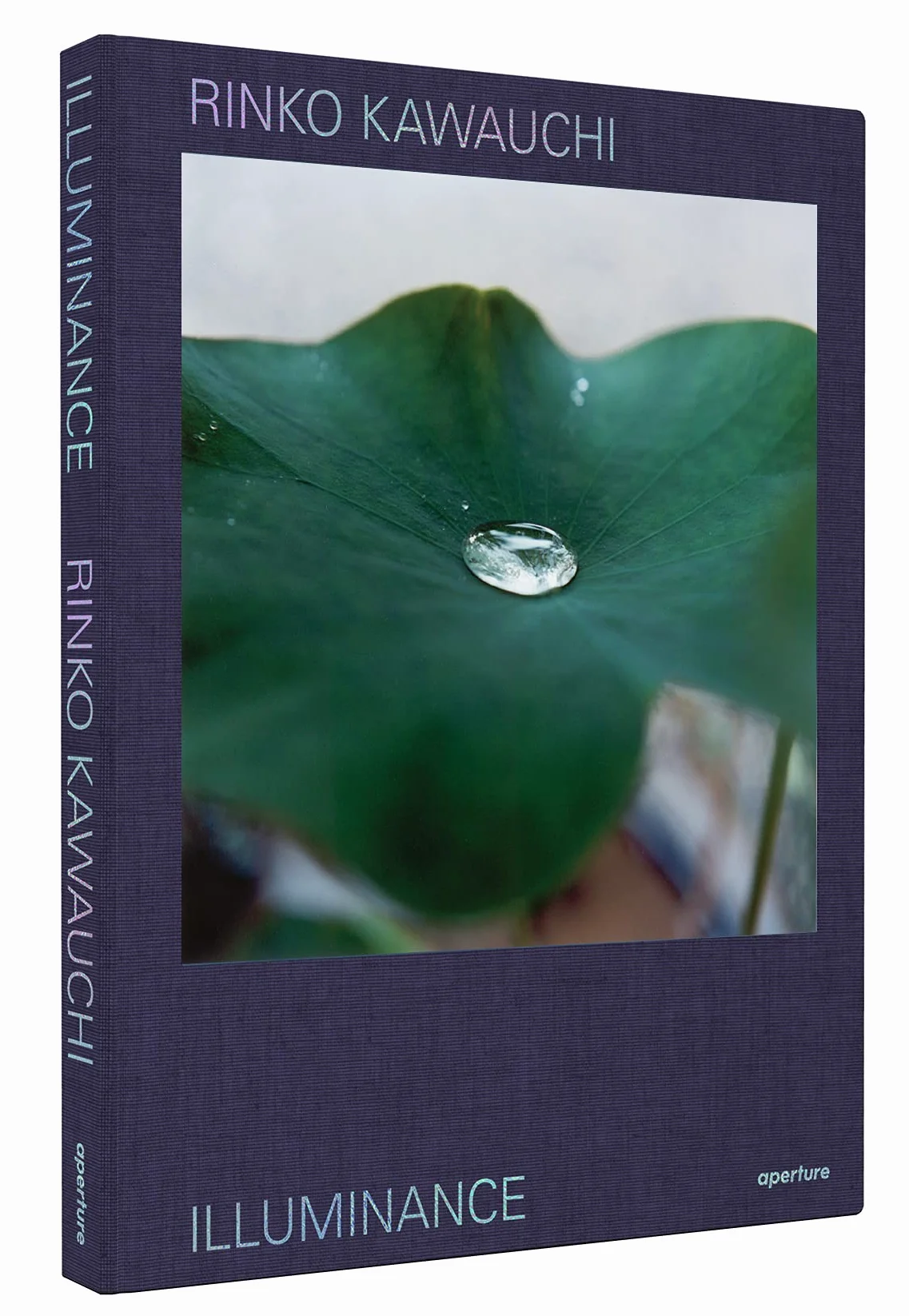 Rinko Kawauchi Illuminance The Ten-Year Anniversary Edition /anglais