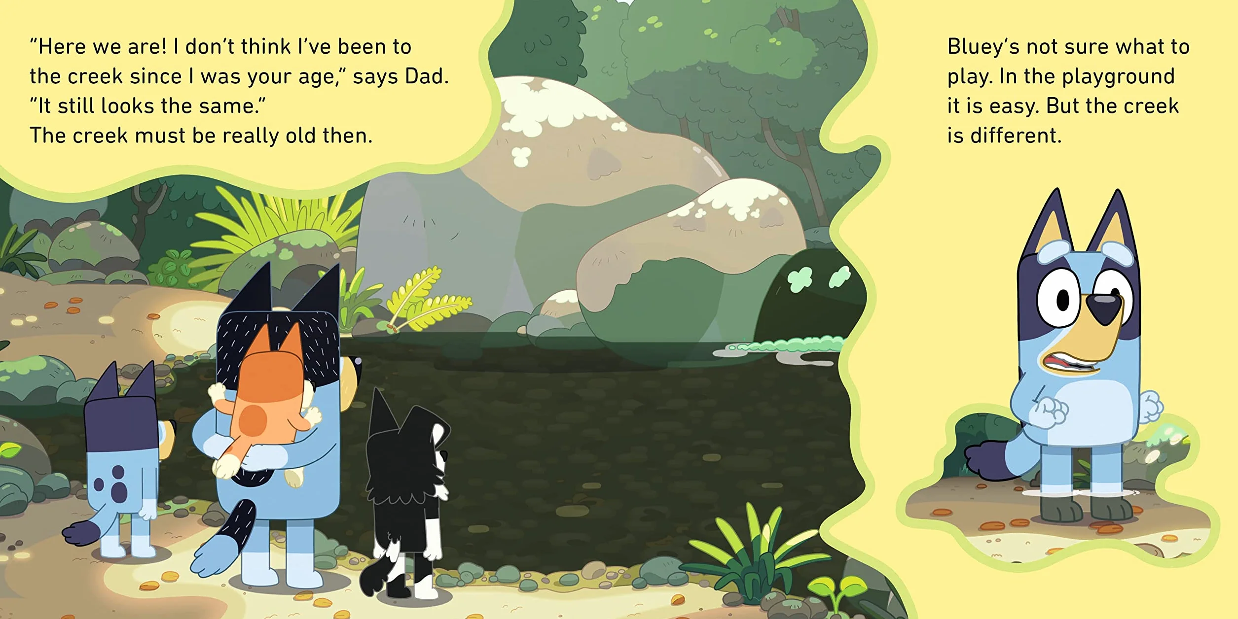 Bluey: The Creek