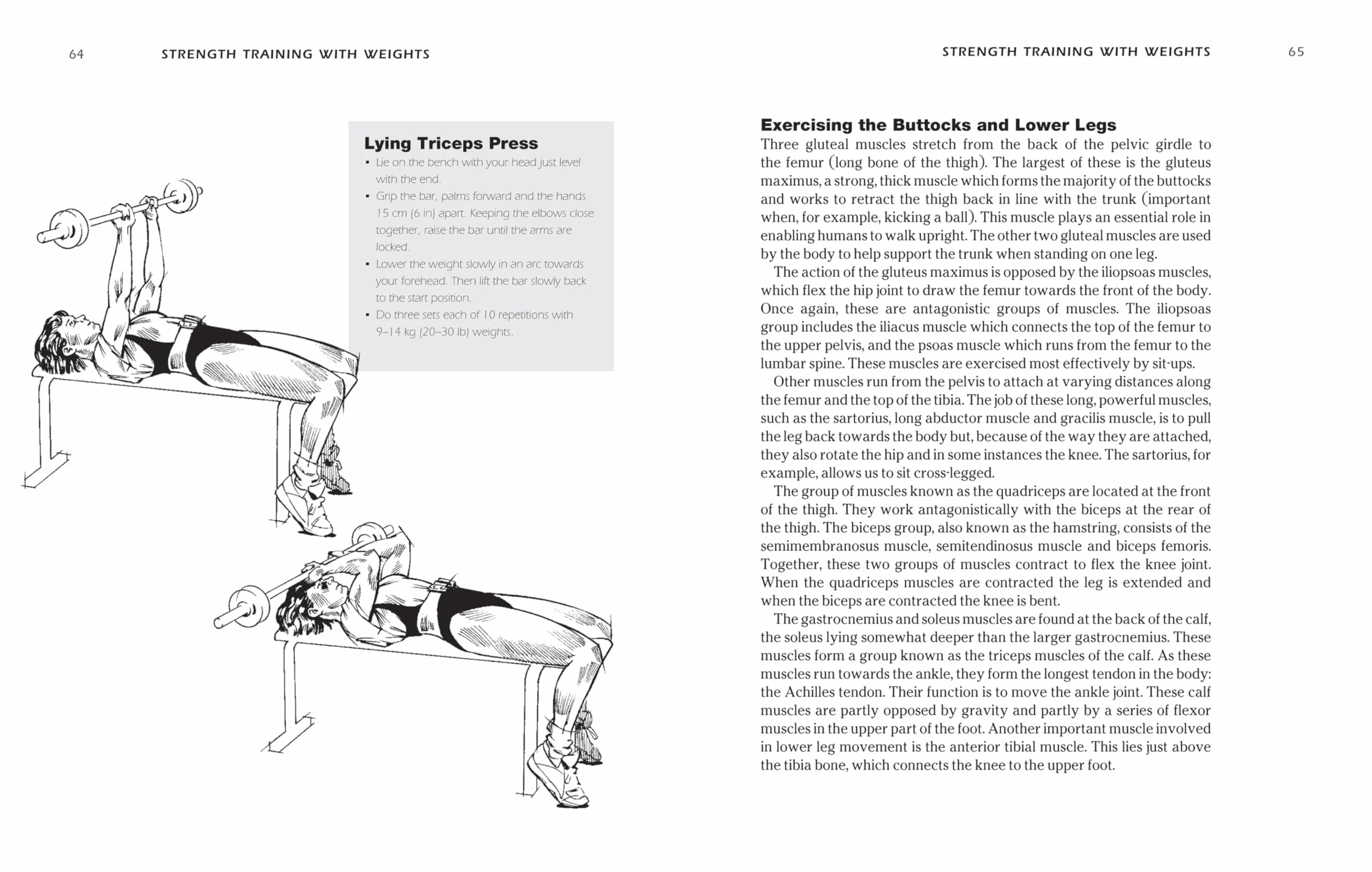 SAS and Special Forces Fitness Training: An Elite Workout Programme for Your Body and Mind