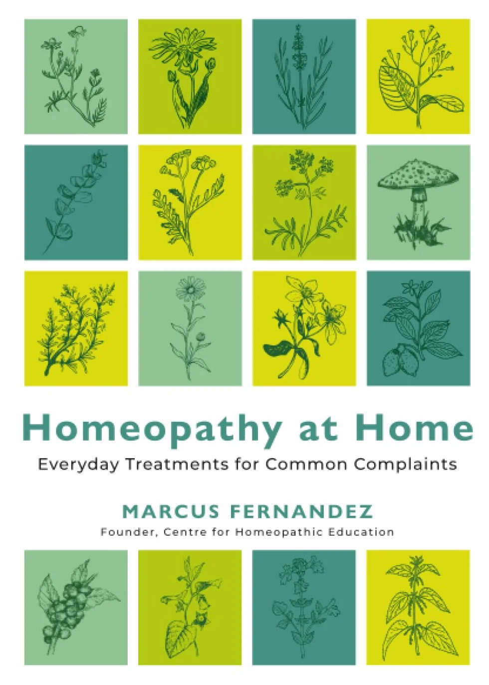 Homeopathy at Home: Everyday Treatments for Common Complaints